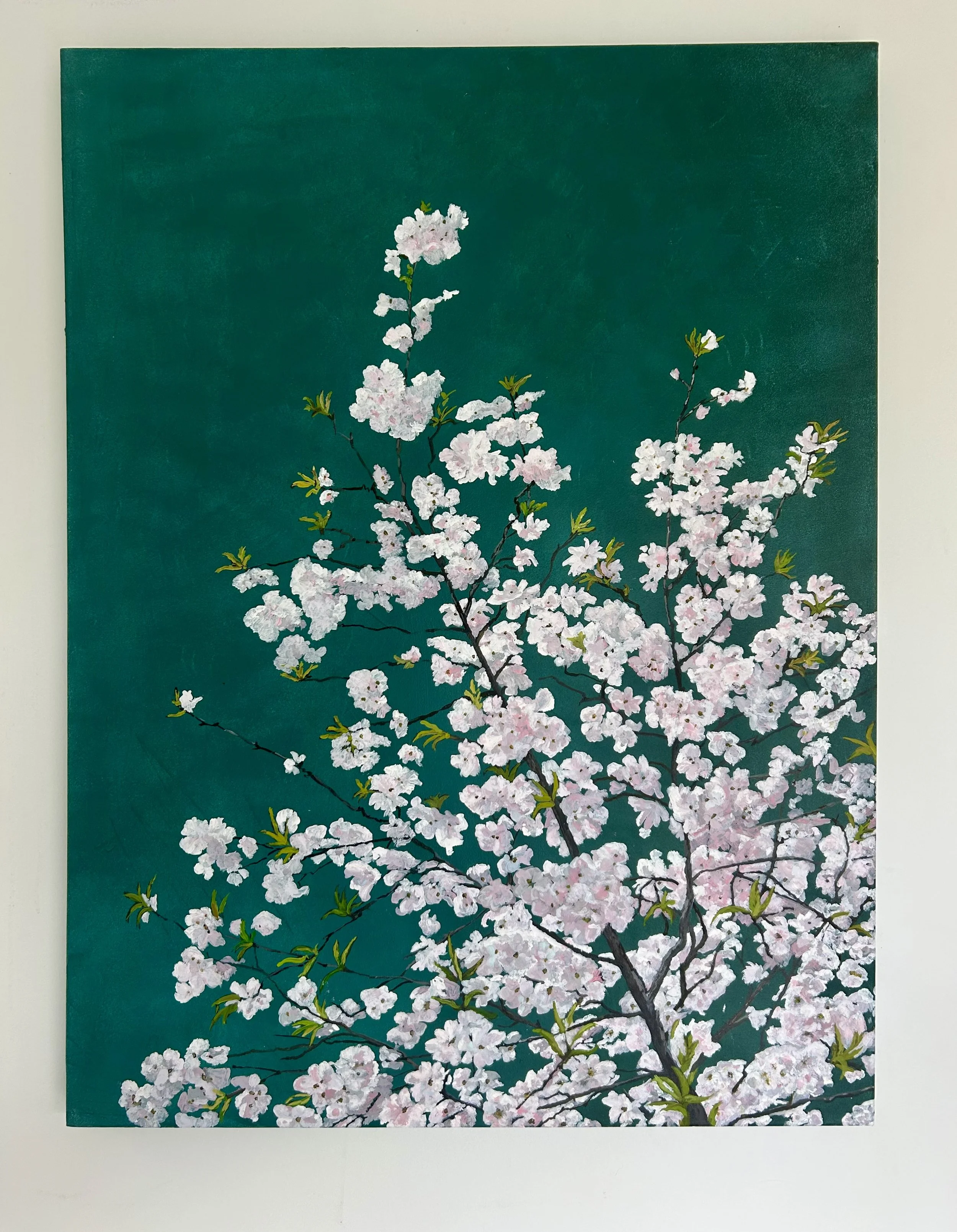 Work 276:  White Blossoms.  2026.   101 x 76 cms.