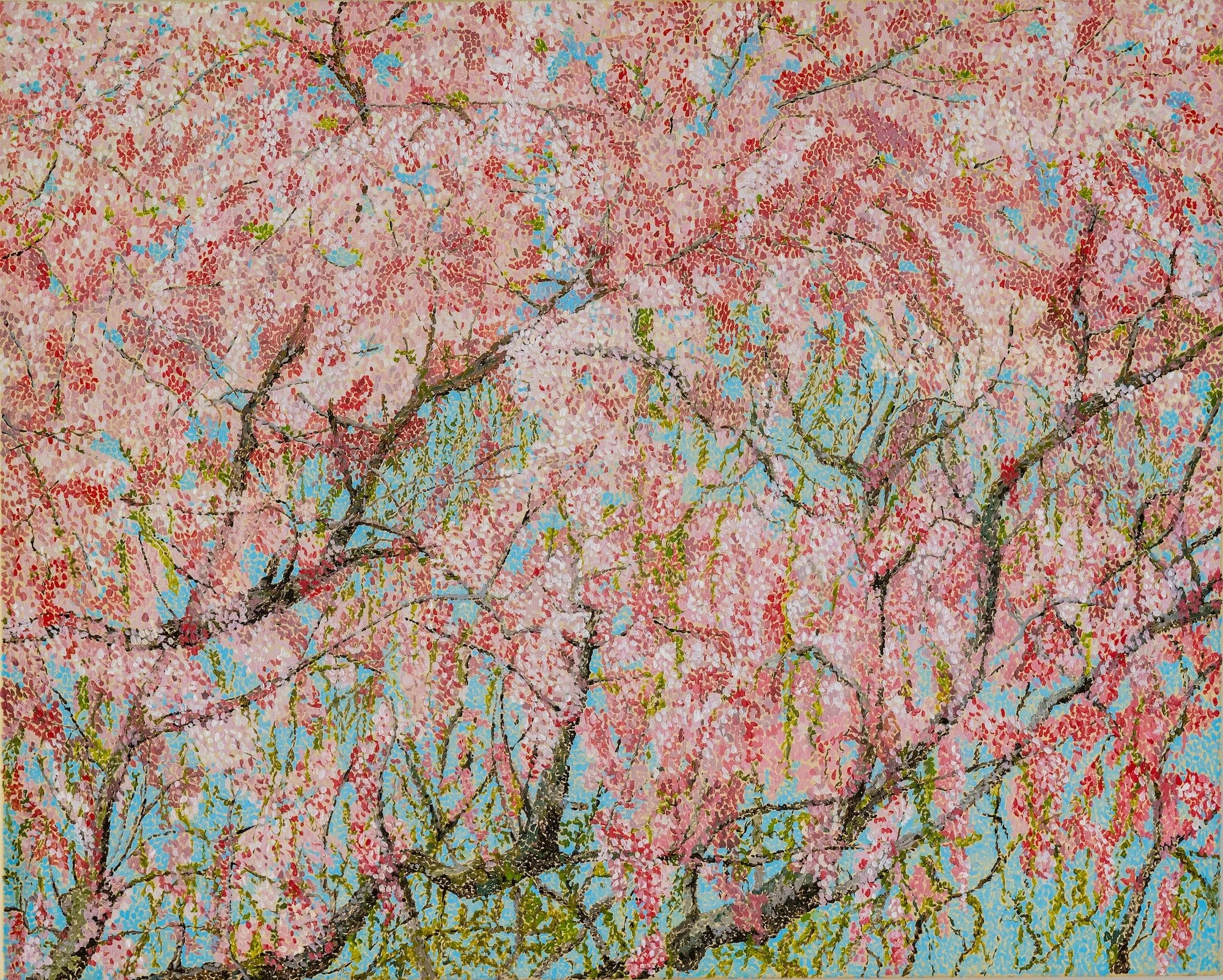 Work 117. Blossom Tree in Close Up.   2018. 61 x 76 cms 
