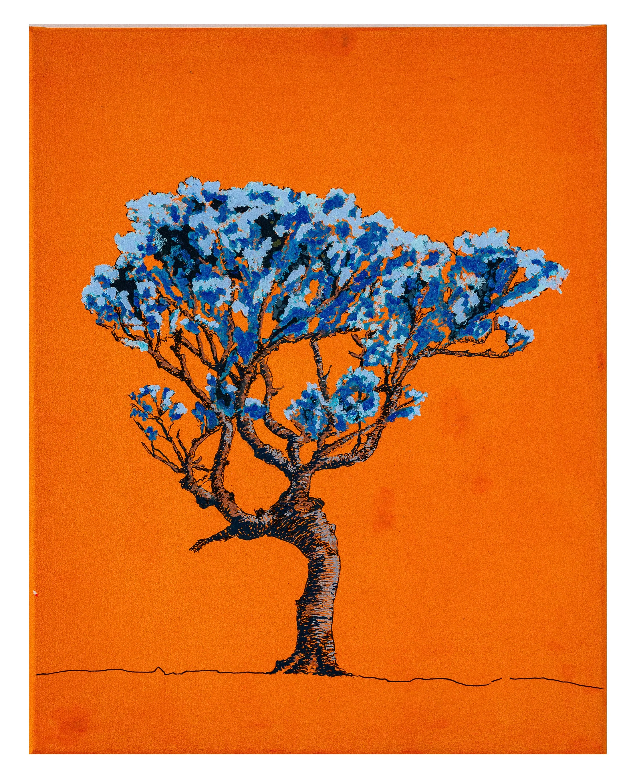 Work 240:  Lone Tree on Orange.  2024.   51 x 40 cms.
