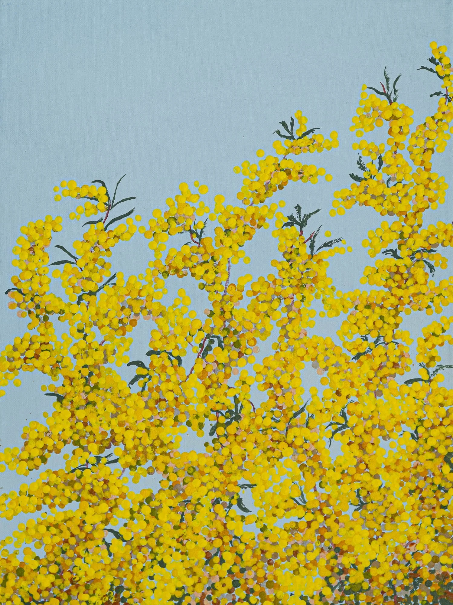Work 160:  Wattle 3
2020
acrylic on canvas
41 x 31 cms
