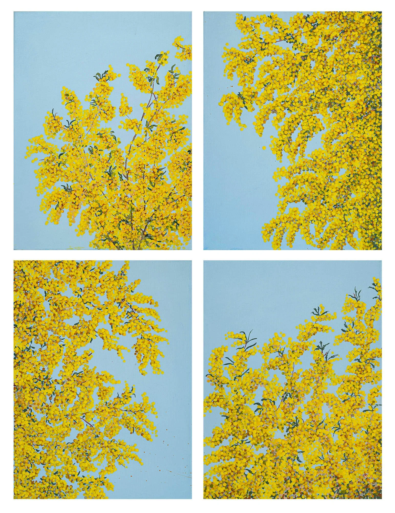 Work 158 - 161:  Wattle 1 - 4
2020
acrylic on canvas
41 x 31 cms each