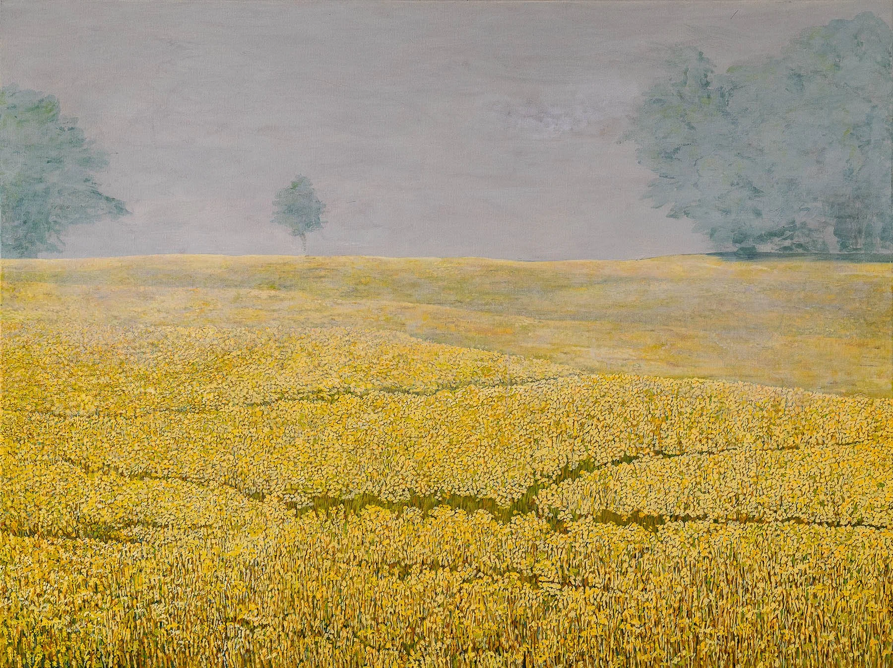 Work 142:  Fog
2019
acrylic on canvas
91 x 122 cms