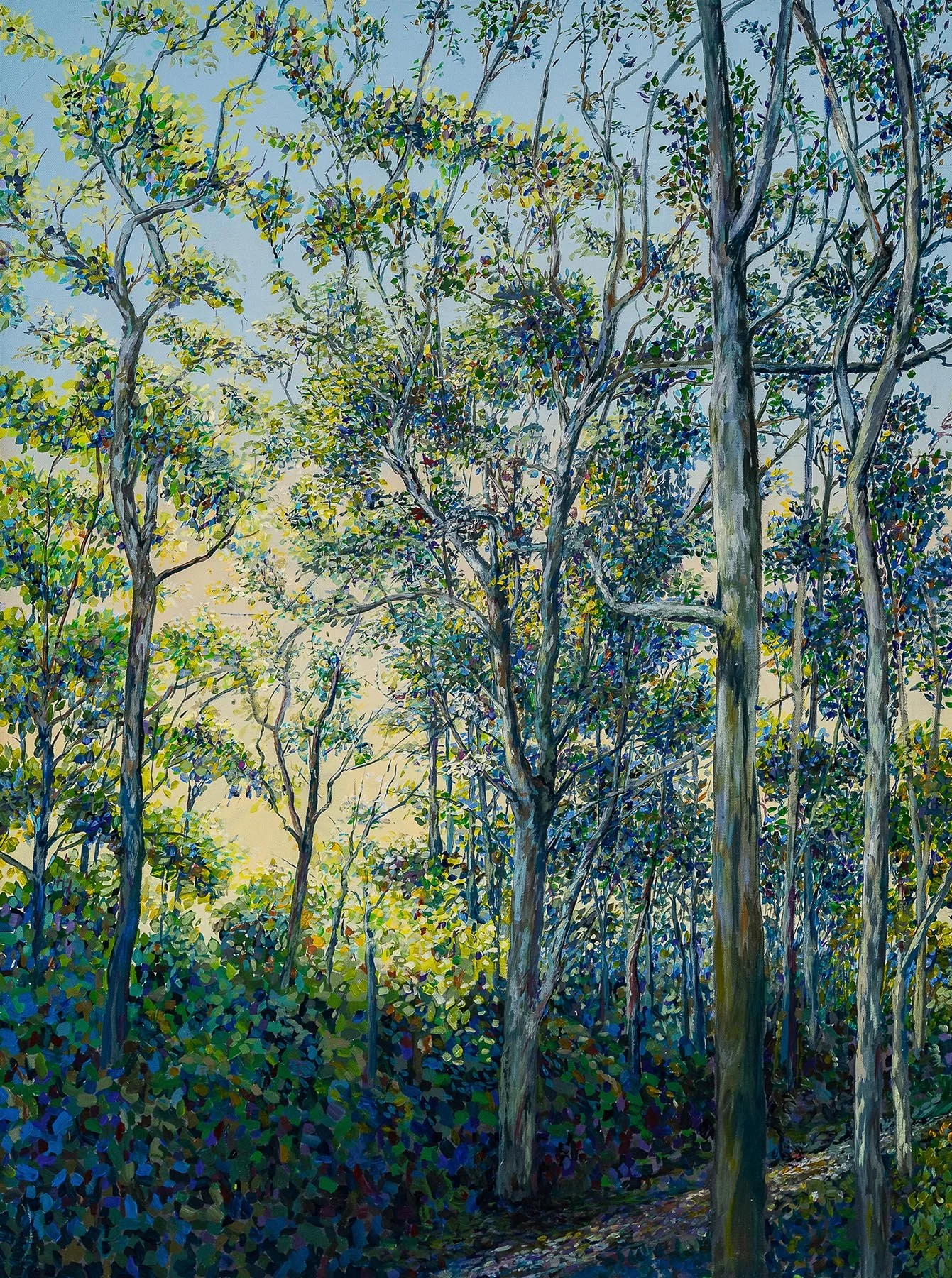 Work 243:  Bush Track
2024
acrylic on canvas
101 x 76 cms