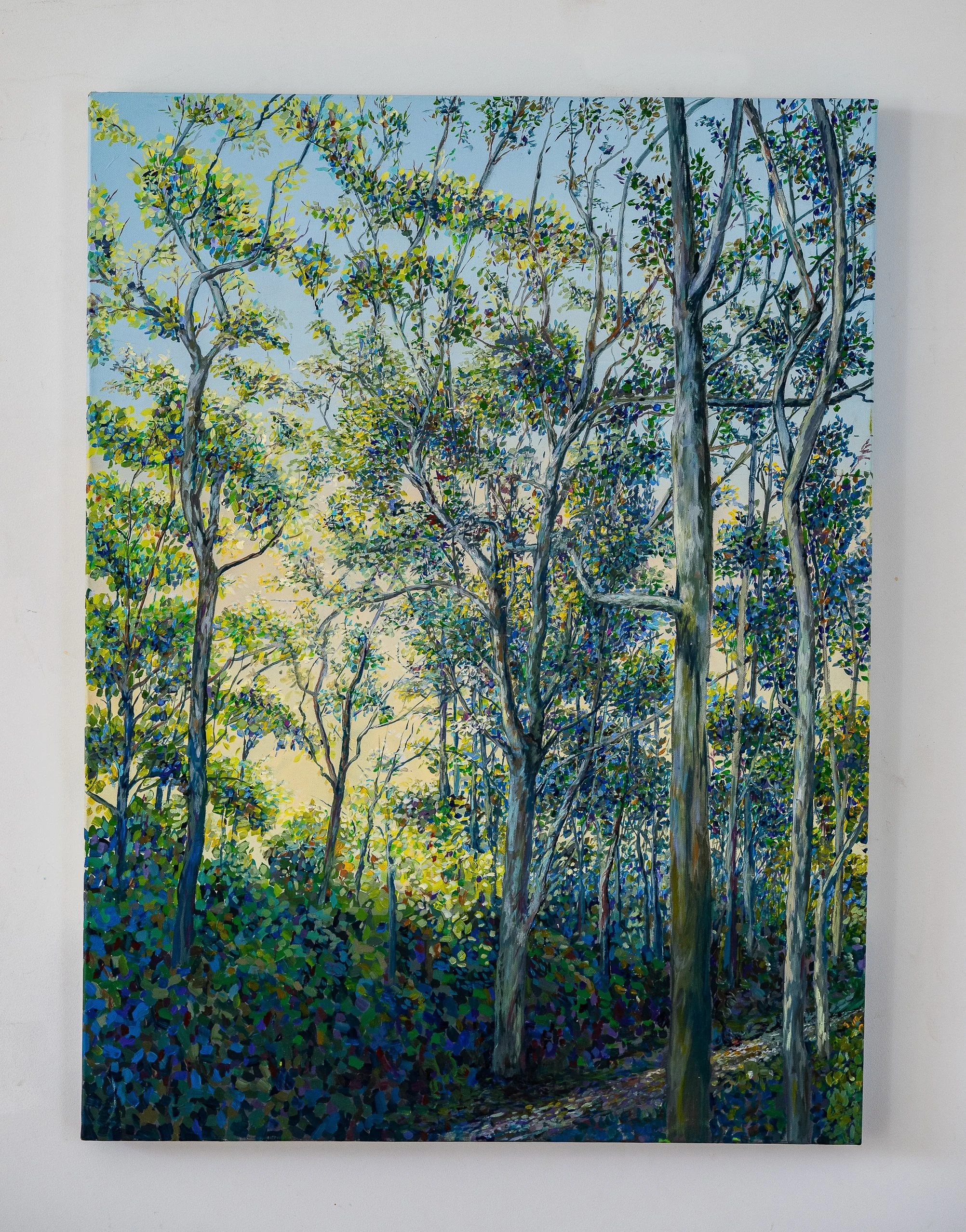 Work 243:  Bush Track.  2024.   101 x 76 cms.