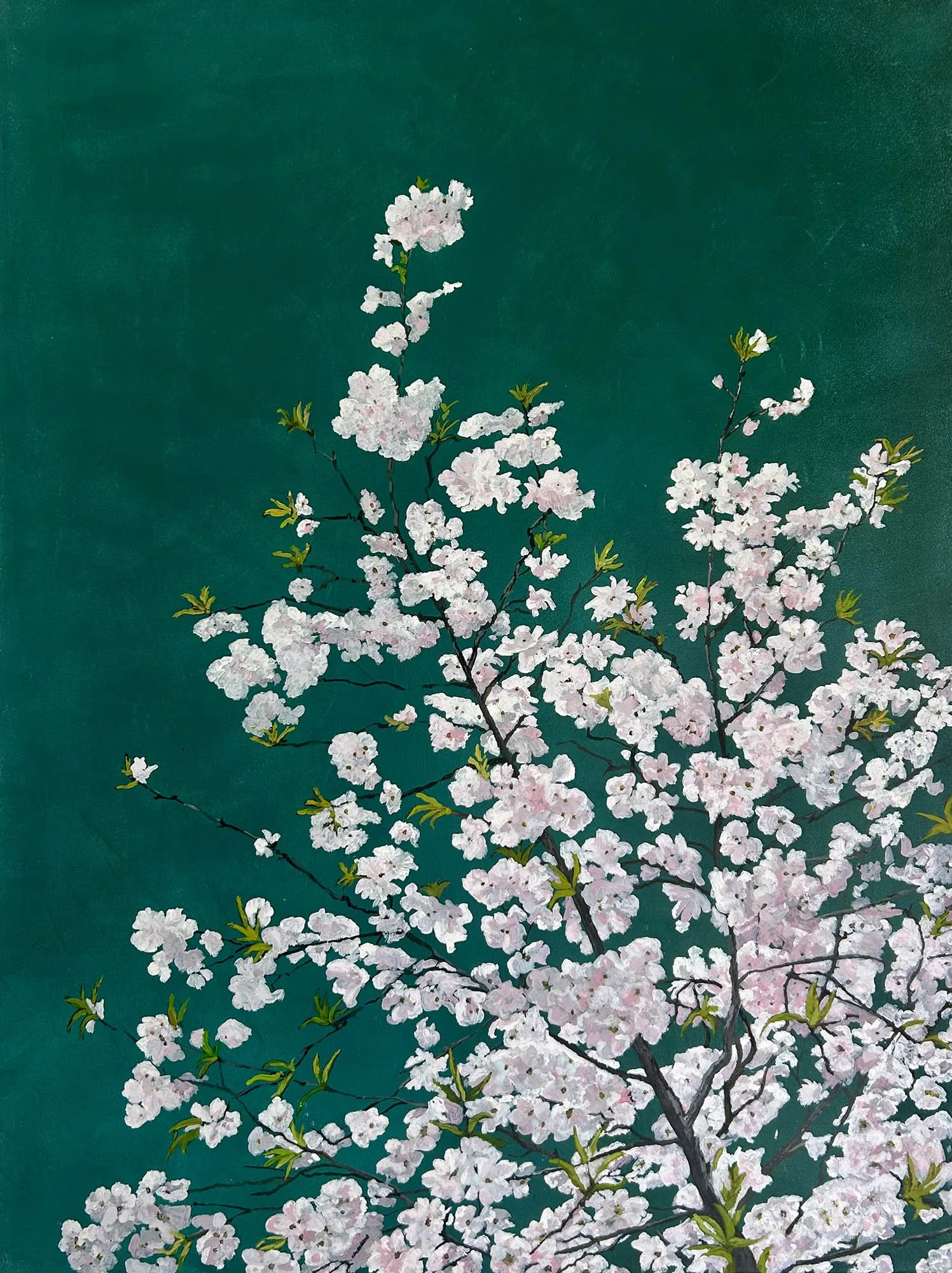 Work 276:  White Blossoms
2026 
acrylic on canvas
101 x 76 cms