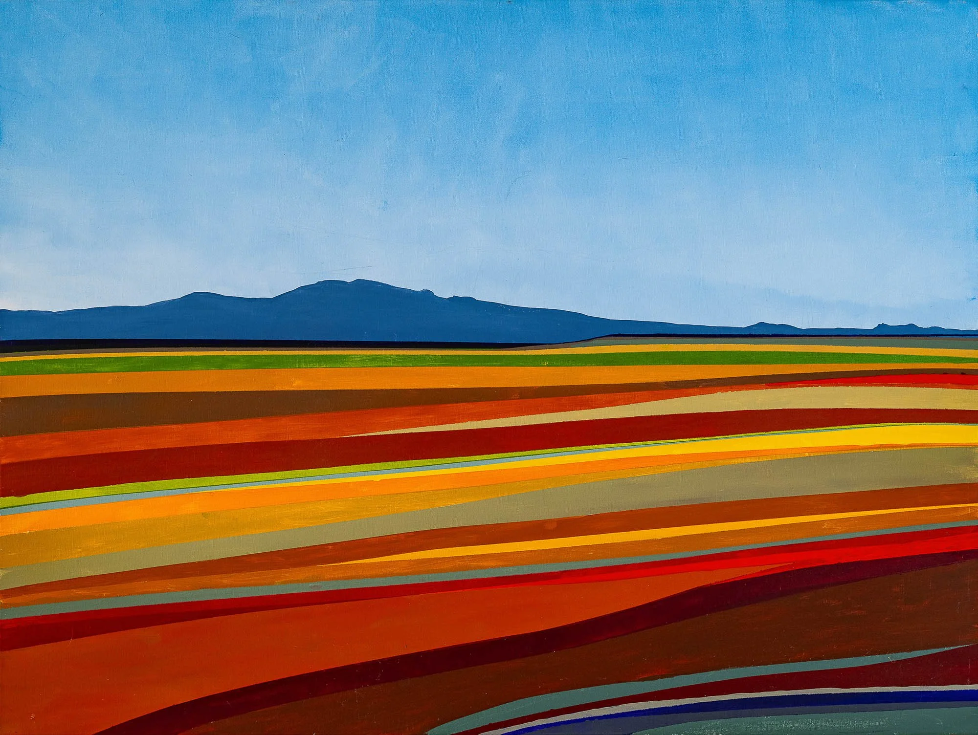 Work 113:  From the Train
2018
acrylic on canvas
91 x 123 cms
