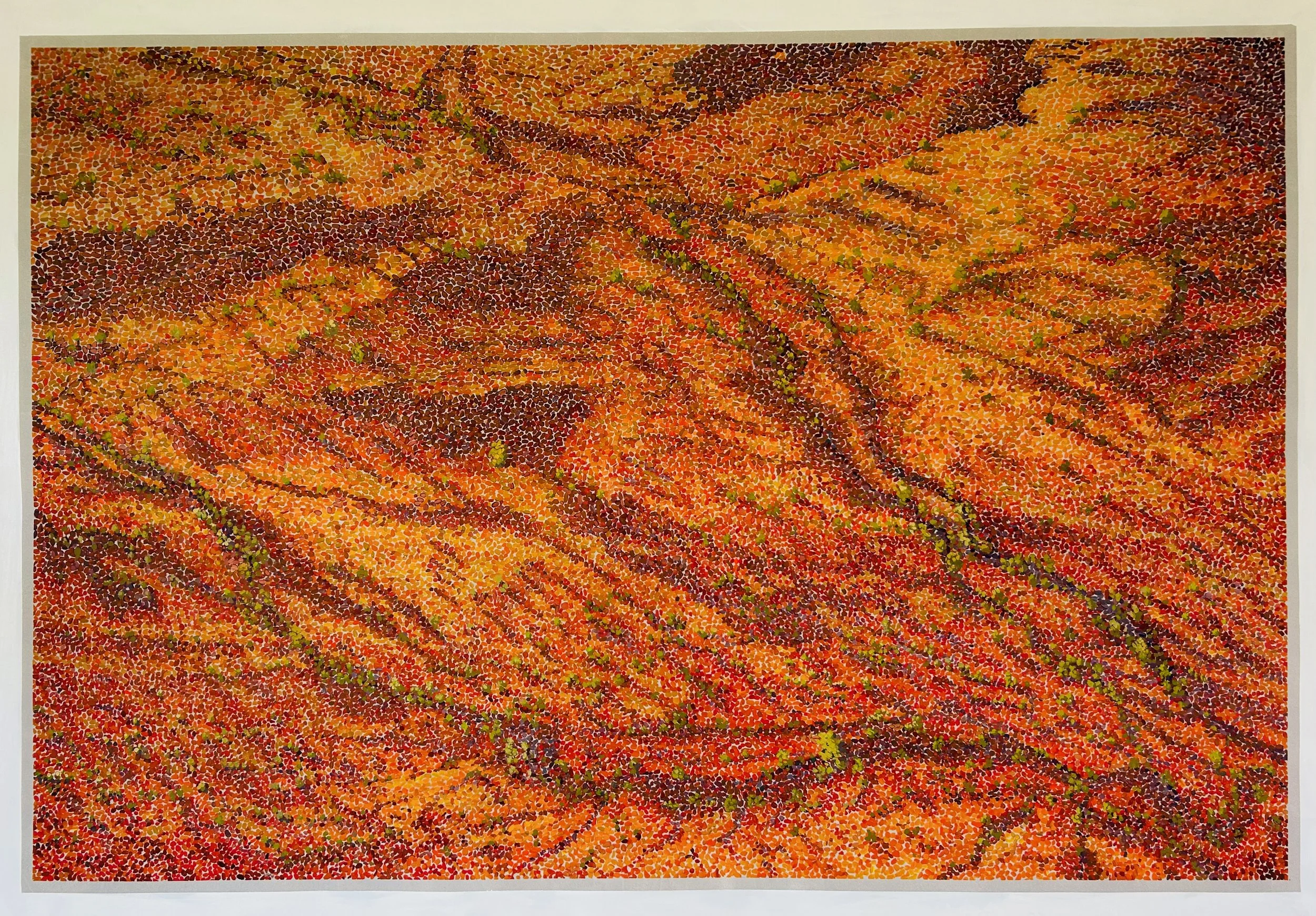 Work 271:  Outback at Sunset.  2025.   122 x 187 cms.