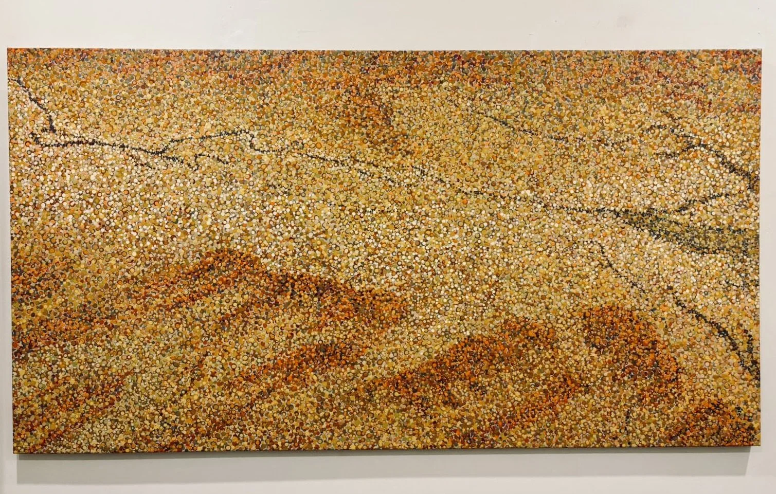 Work 270 - November 2025 (112 x 199 cms)