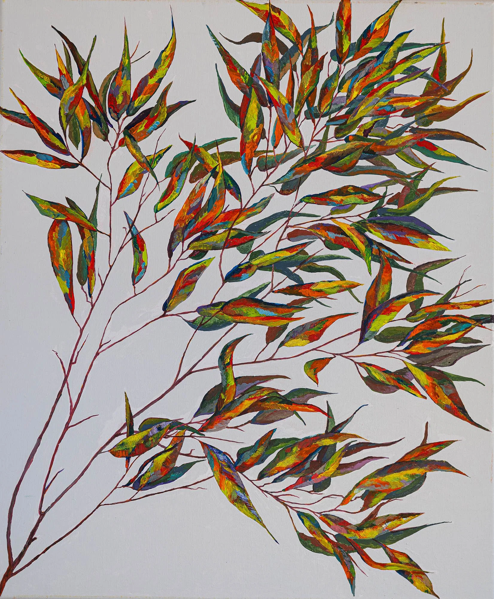 Work 188:  Red Green Gum Leaves
2021
acrylic on canvas
51 x 61 cms