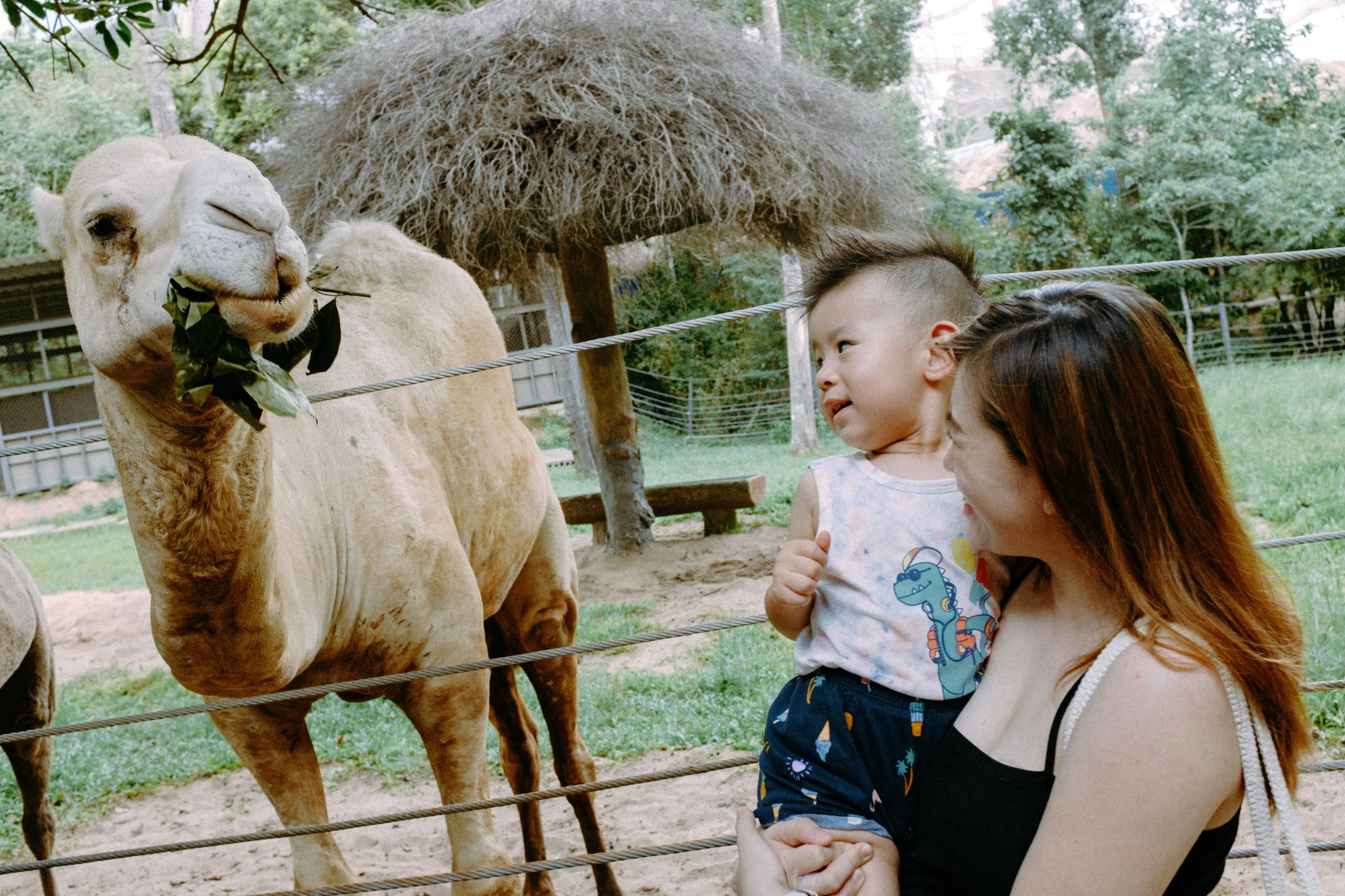 Friends Family Trip to Phú Quốc — Pham Si Luan Photography (41)