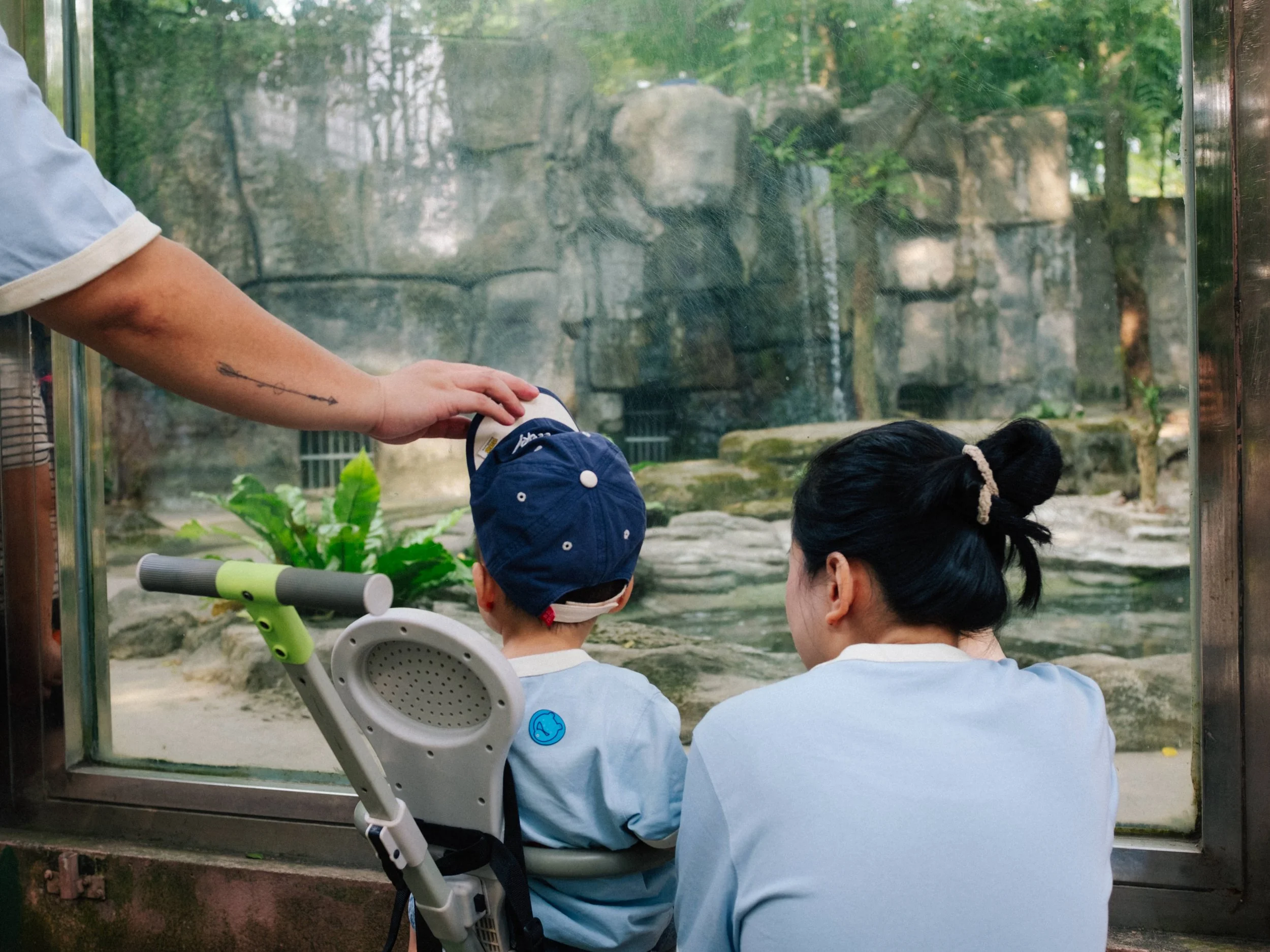 A young child sitting in a stroller with a blue cap, looking at animals through a glass enclosure at a zoo, accompanied by an adult woman with black hair in a bun, both observing a habitat with rocks and greenery.
