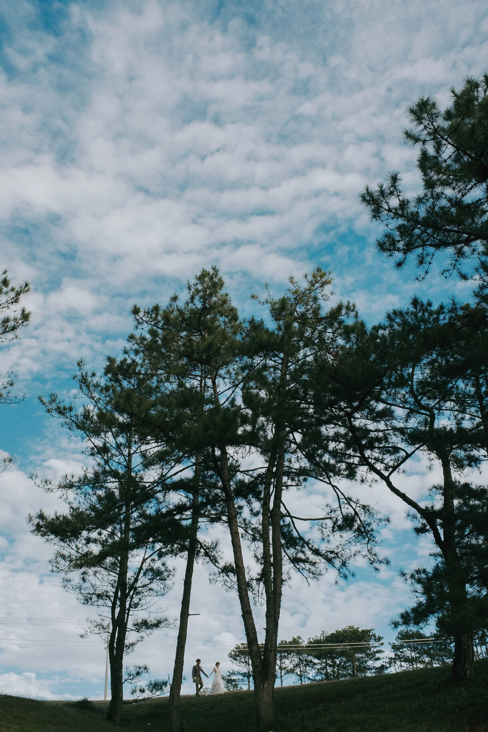Hoa & Tùng, Pre-wedding in Đà Lạt — Pham Si Luan Photography (4)