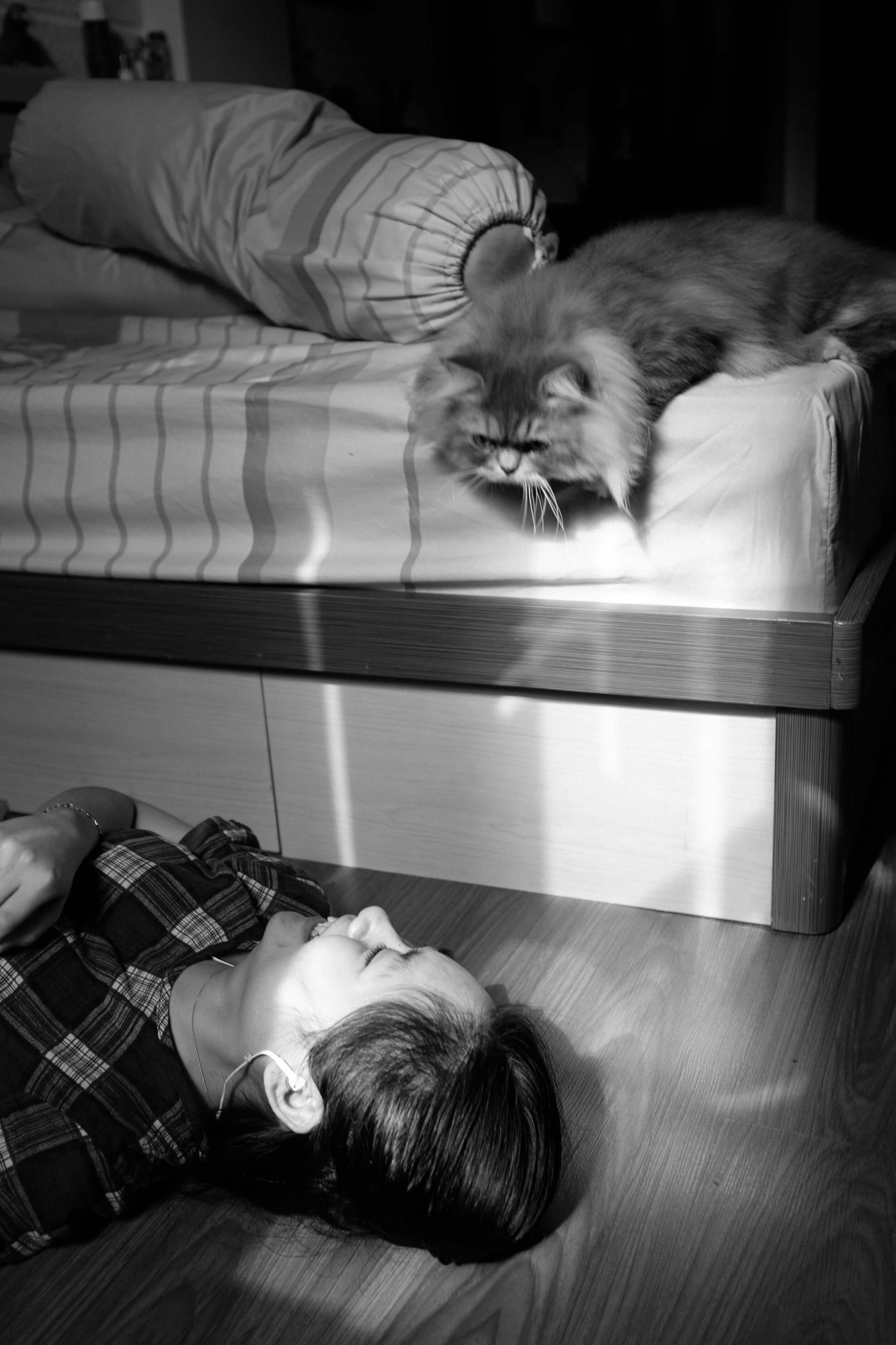 354 Tết 2020 — Pham Si Luan Photography (13)