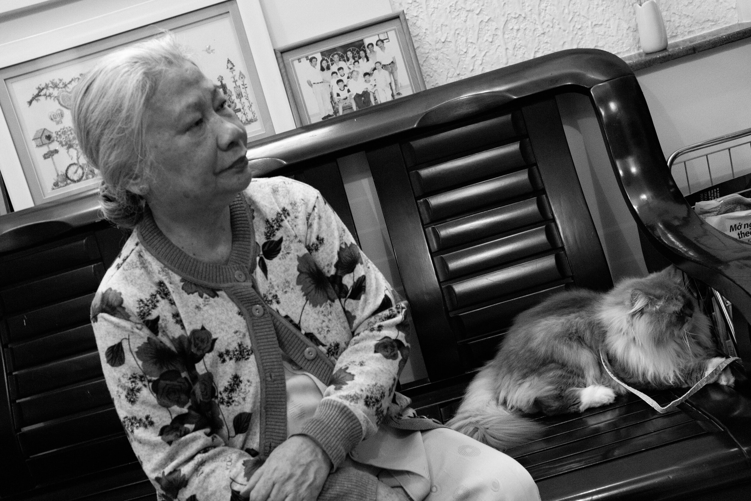 354 Tết 2020 — Pham Si Luan Photography (71)