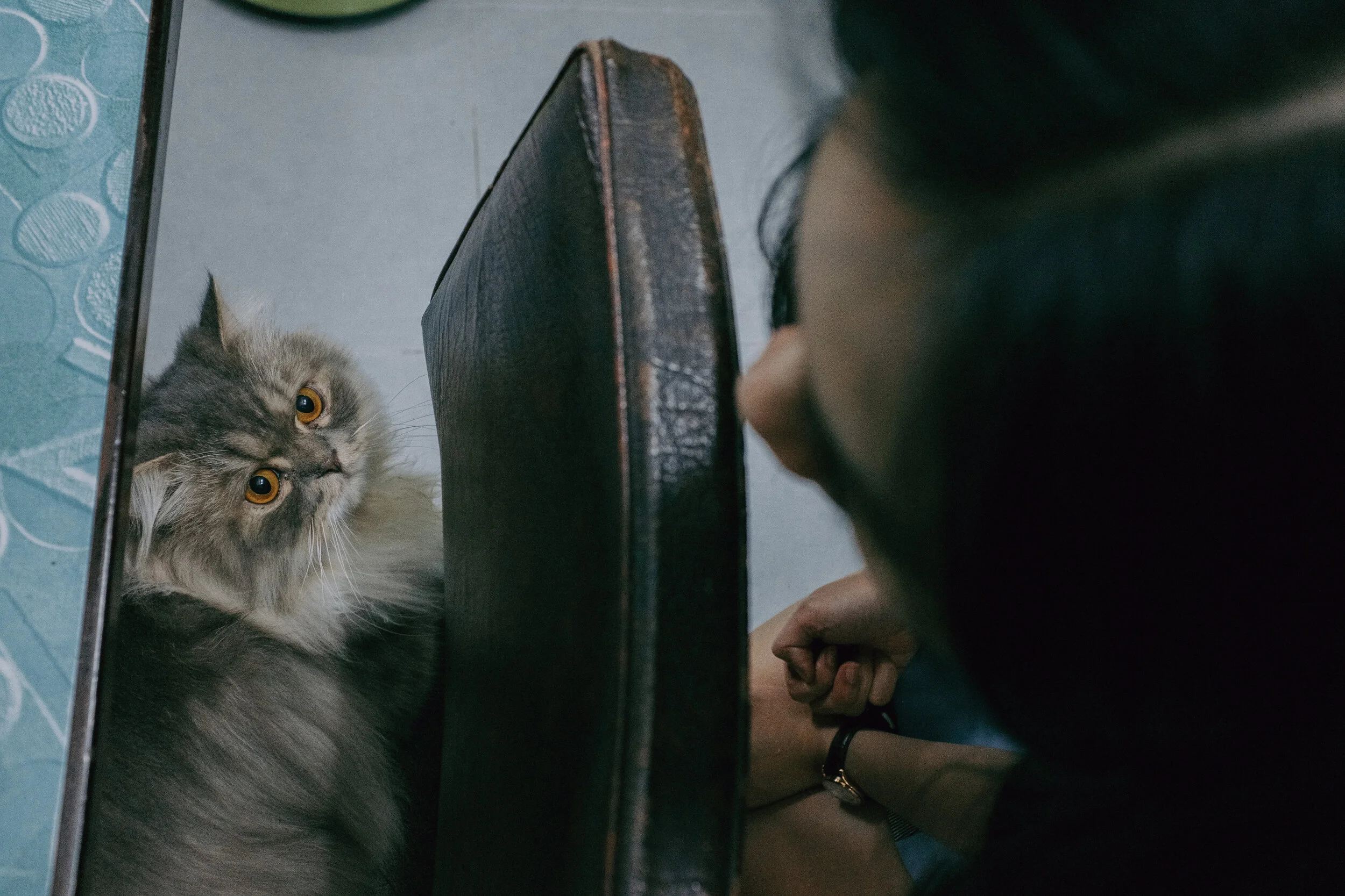 354 Tết 2020 — Pham Si Luan Photography (82)