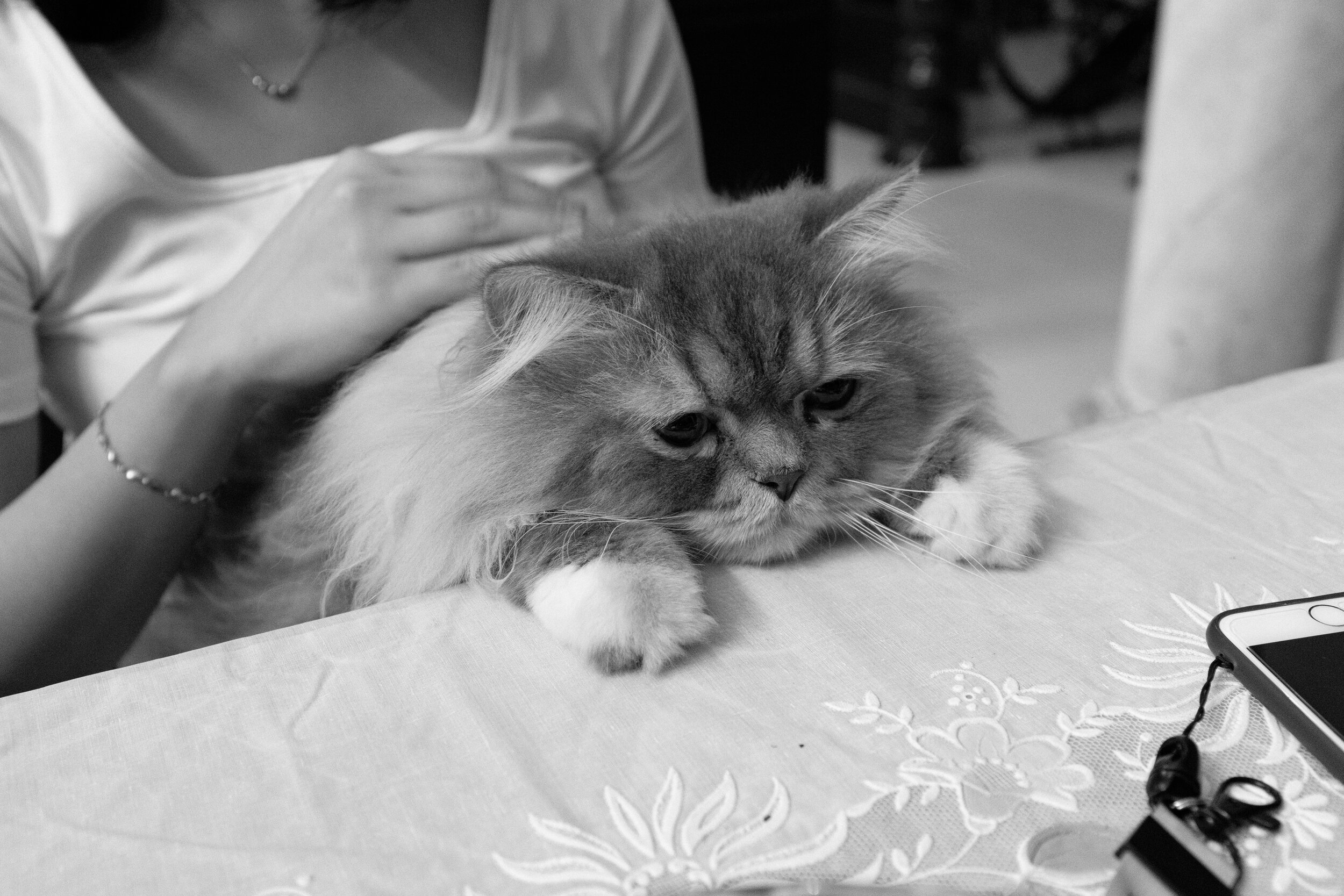 354 Tết 2020 — Pham Si Luan Photography (85)