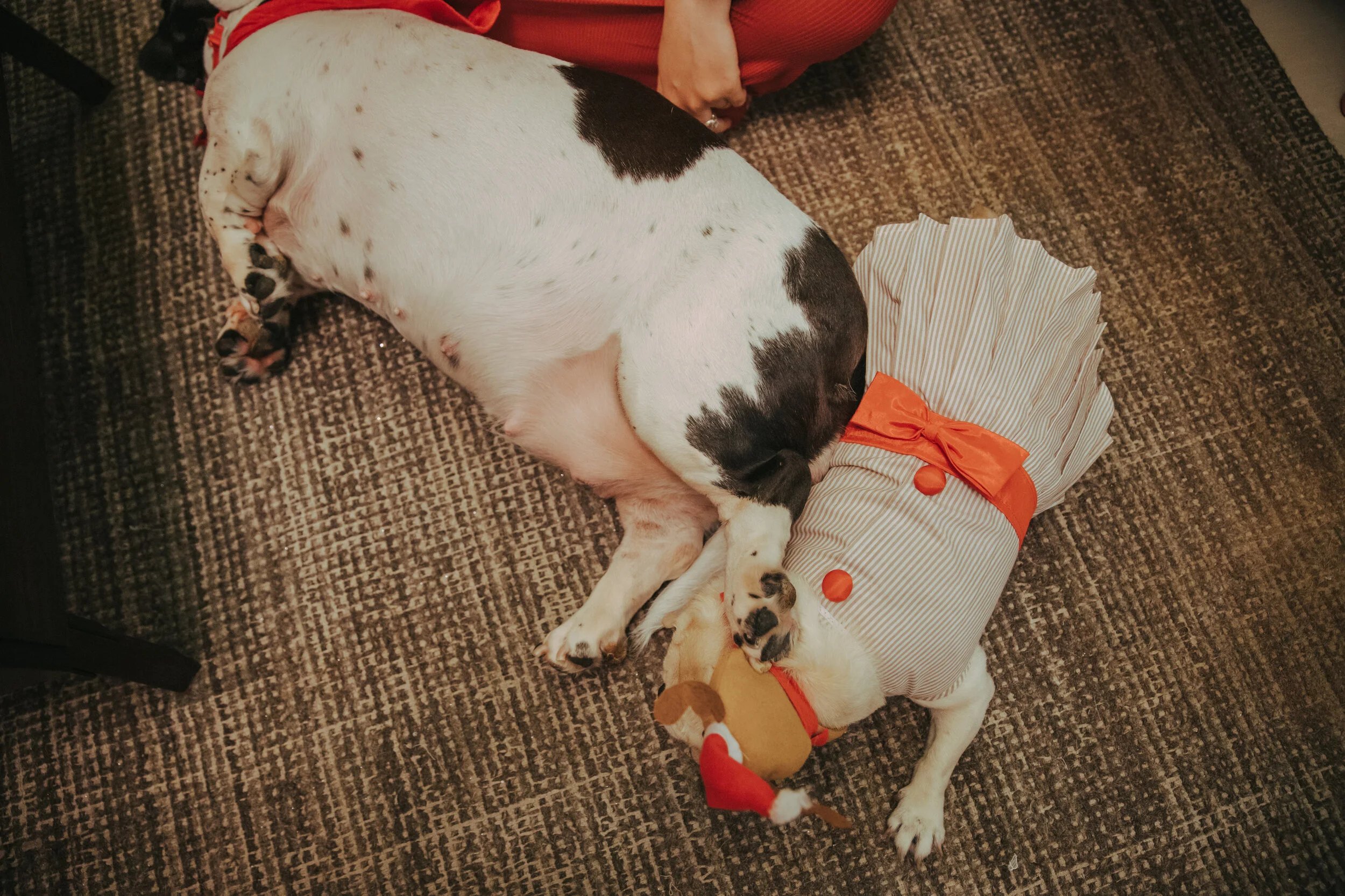 Cee's Ambie Xmas 2018 — Pham Si Luan Photography (13)