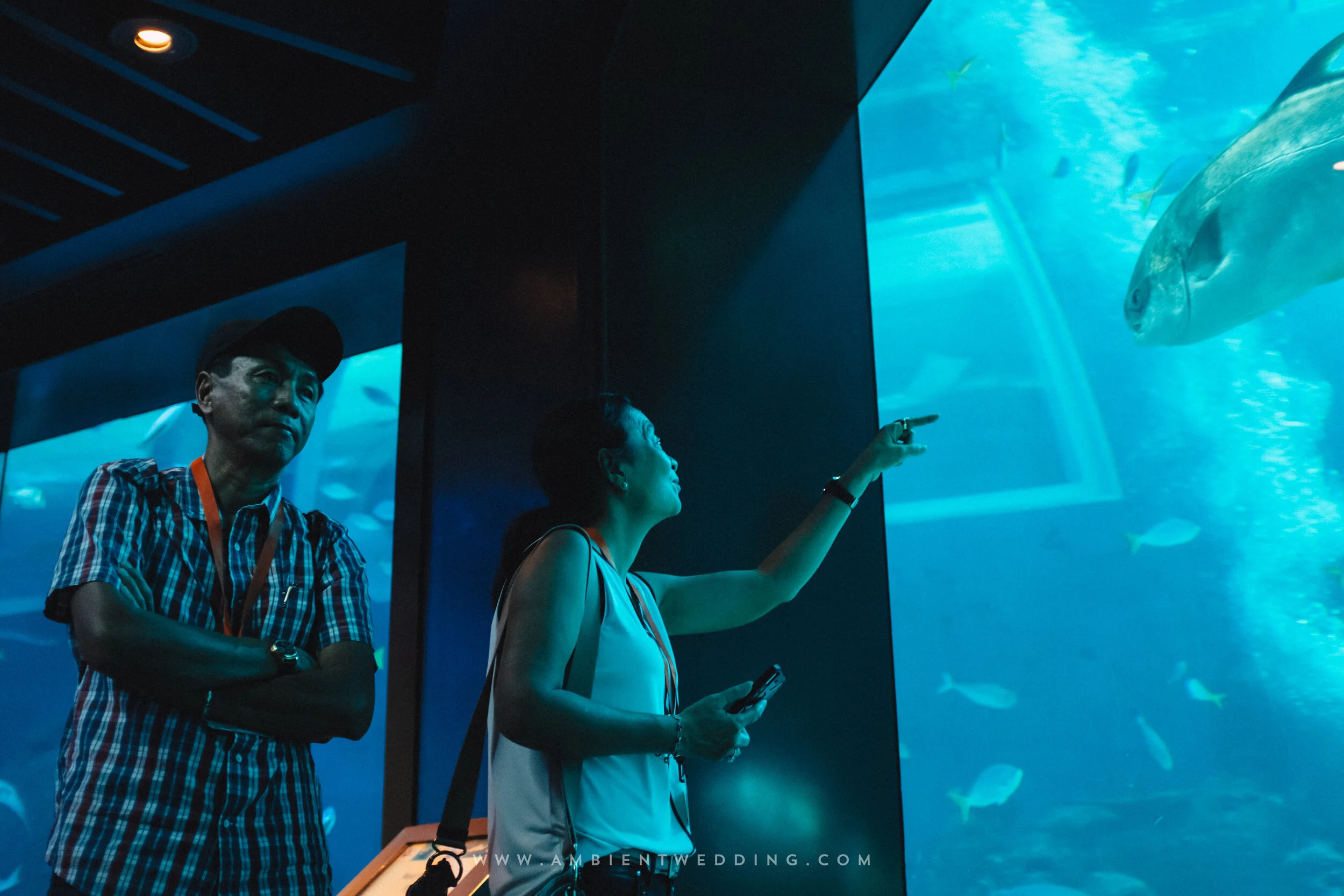HA & YC, Wedding Day in Singapore — Pham Si Luan Photography (4)