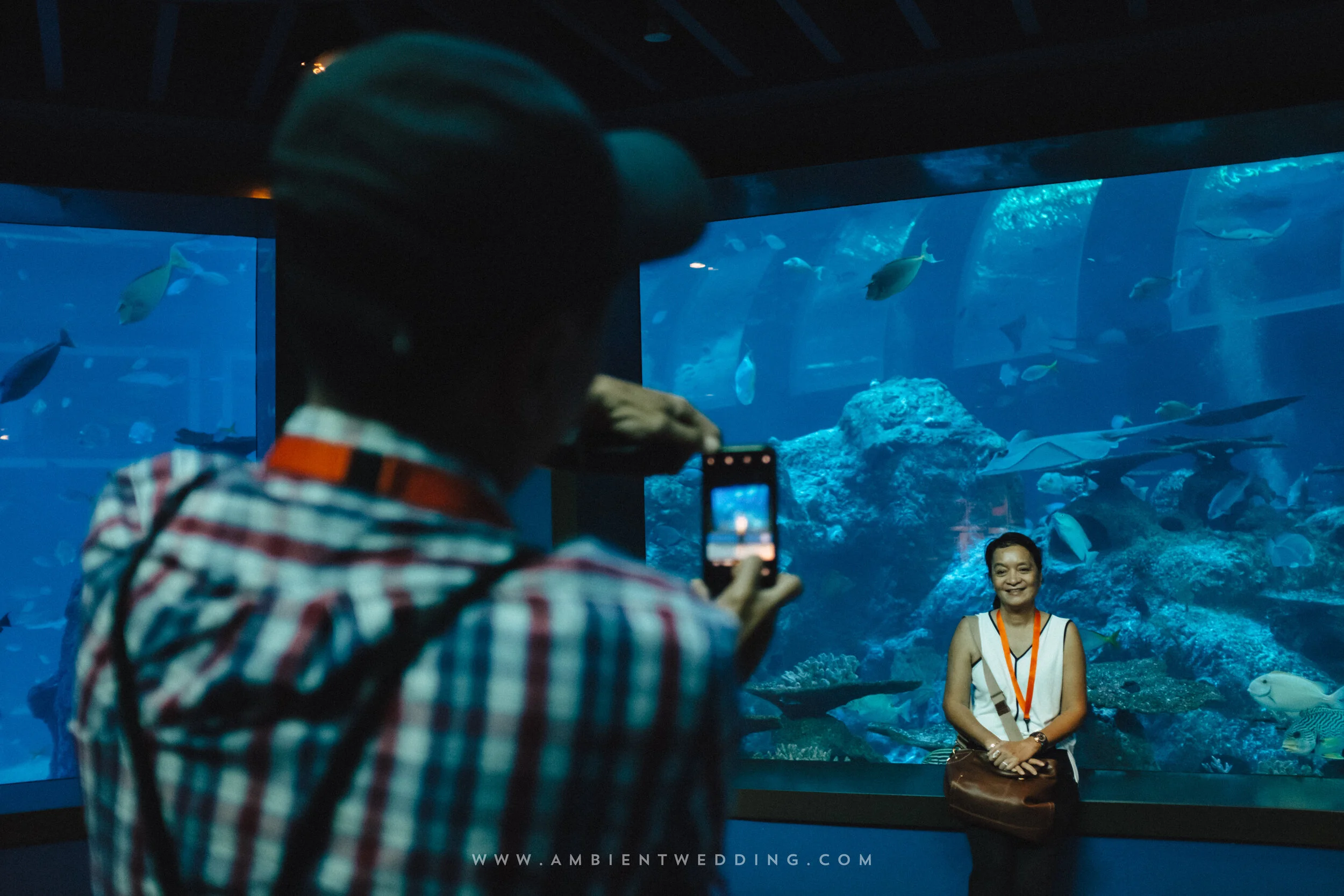 HA & YC, Wedding Day in Singapore — Pham Si Luan Photography (6)
