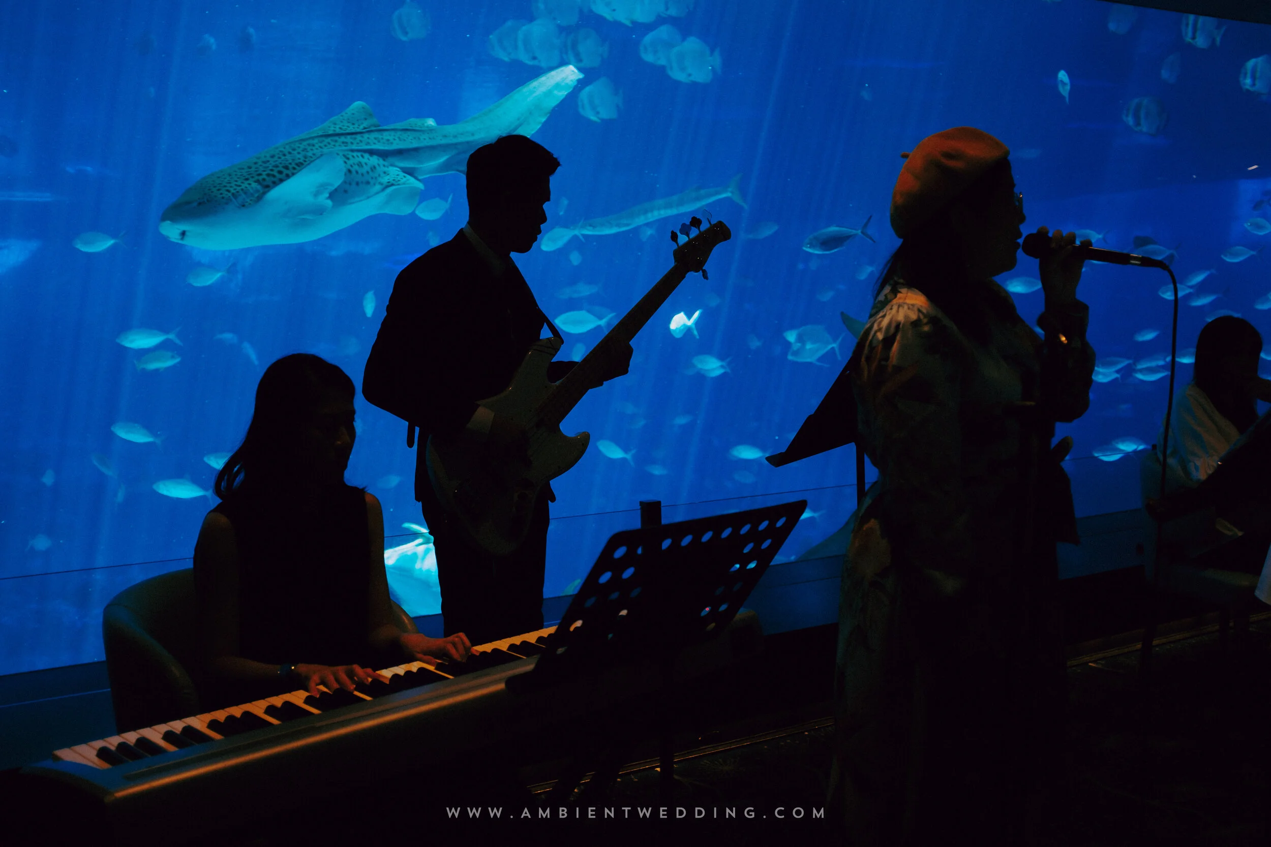 HA & YC, Wedding Day in Singapore — Pham Si Luan Photography (43)