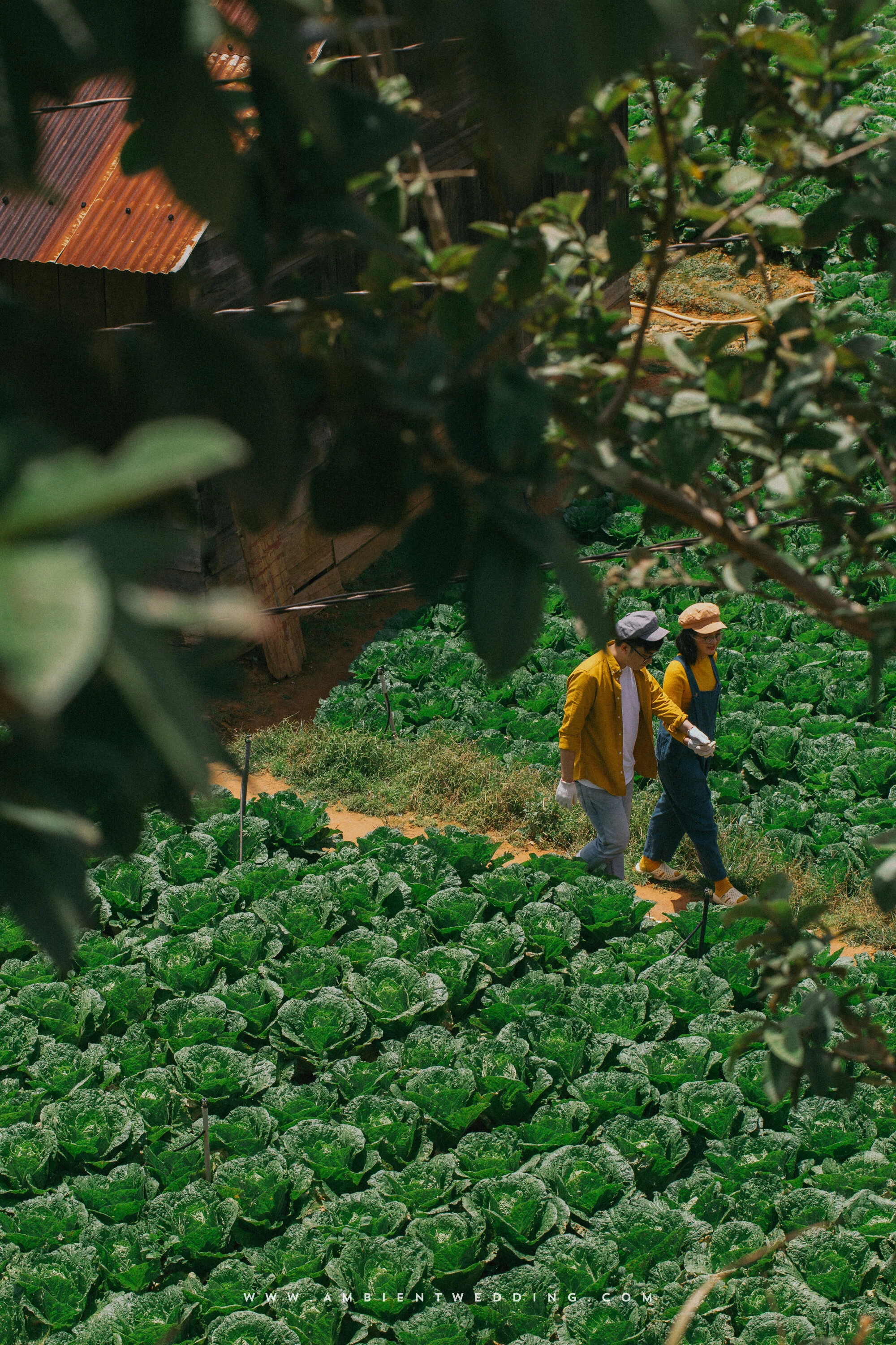 Ngọc & Sinh, Pre-wedding in Đà Lạt — Pham Si Luan Photography (25)