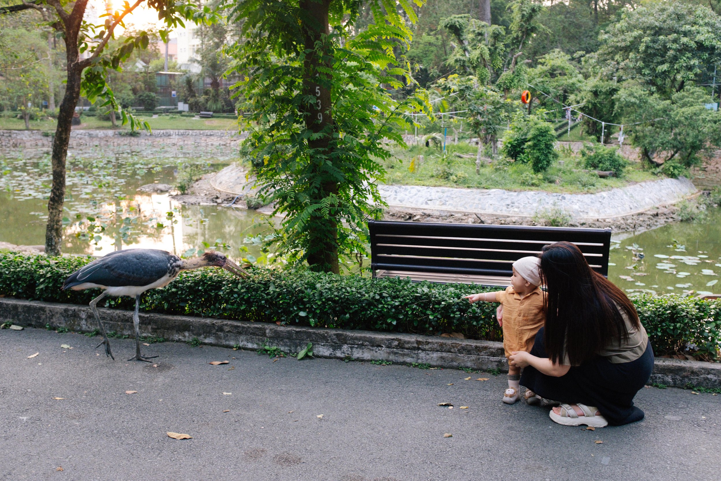 A woman and a child interacting with a large bird near a park pond. The woman is crouched down, pointing at the bird, while the child points in the same direction. The scene takes place by a pathway with a bench, trees, and pond in the background.