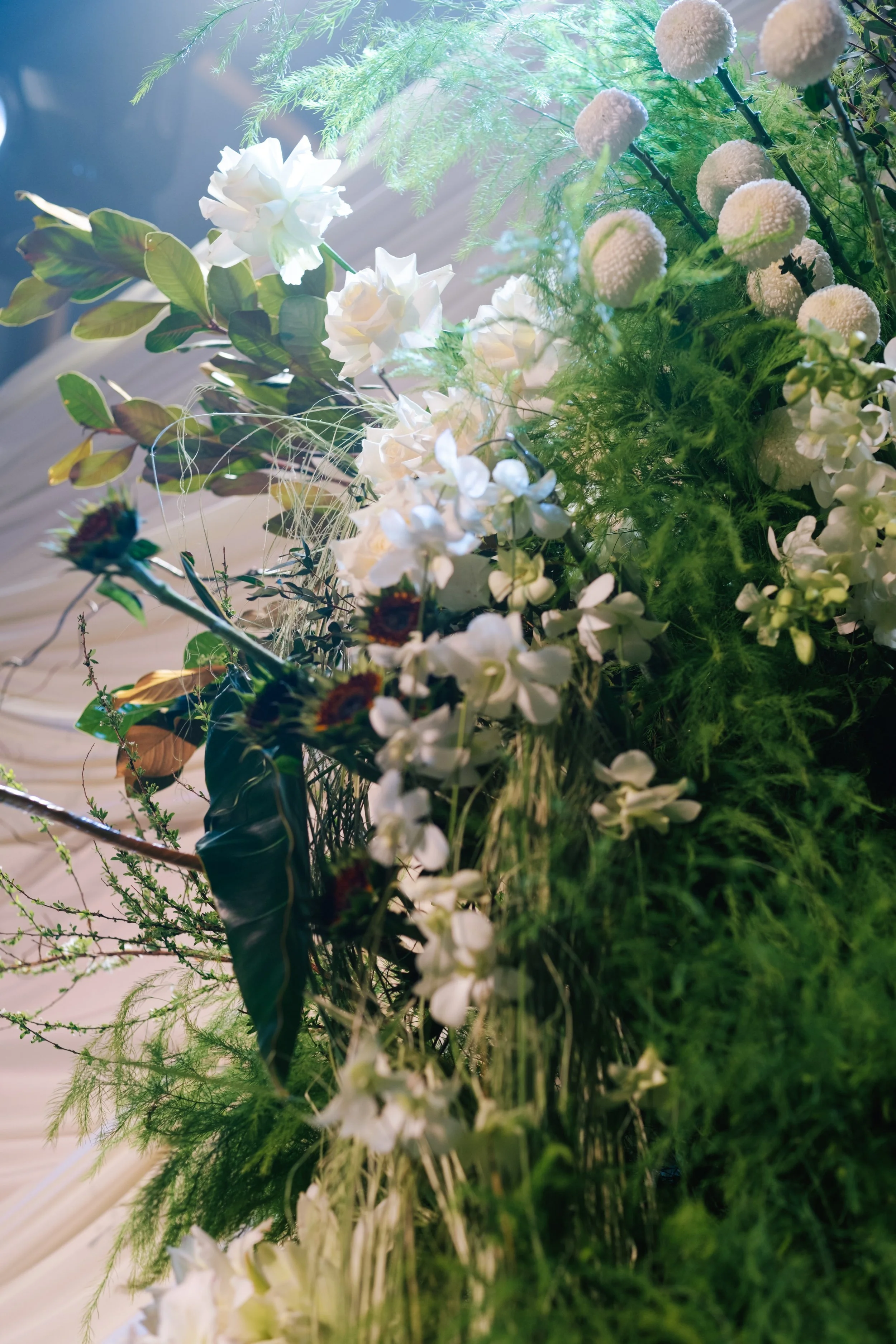 A close-up of a floral arrangement with white flowers and green foliage, illuminated by natural light.