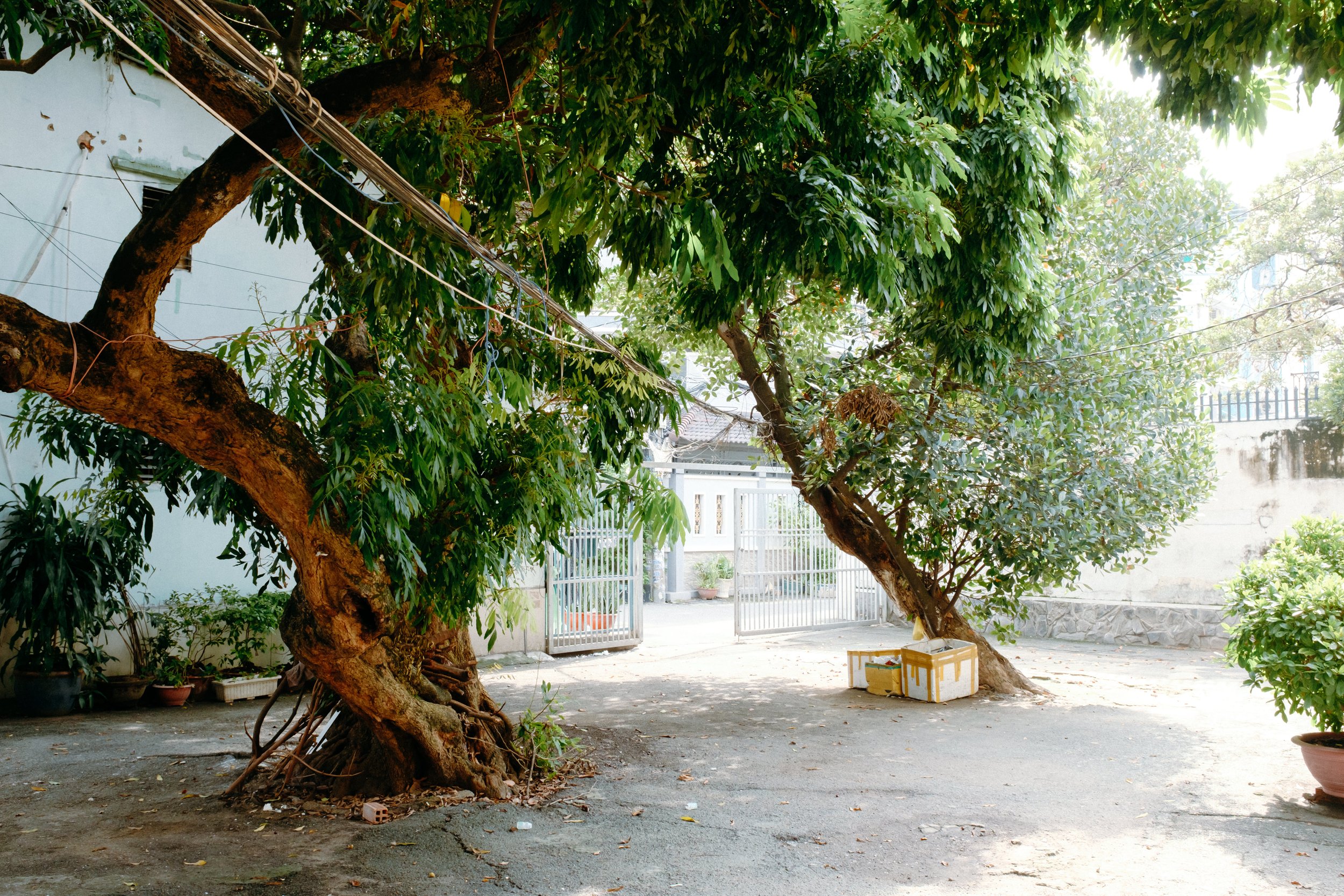 Đám giỗ ba Tân — Pham Si Luan Photography (6)