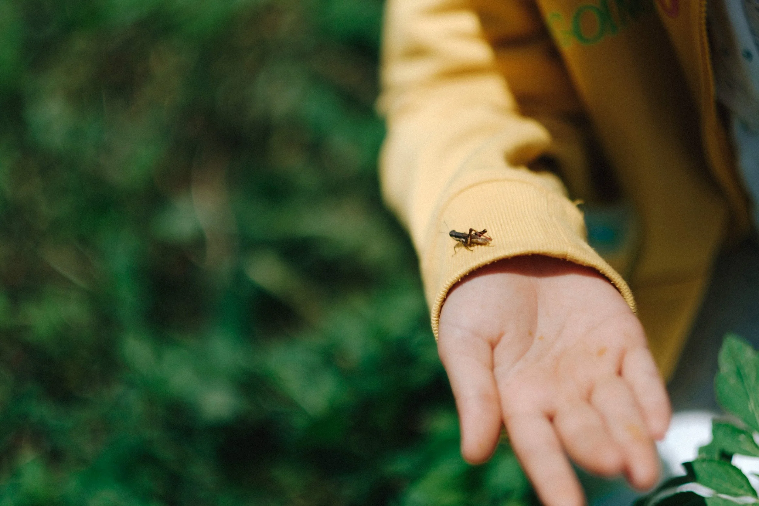 Da Lat Journey – Tu & Xiu — Pham Si Luan Photography (54)