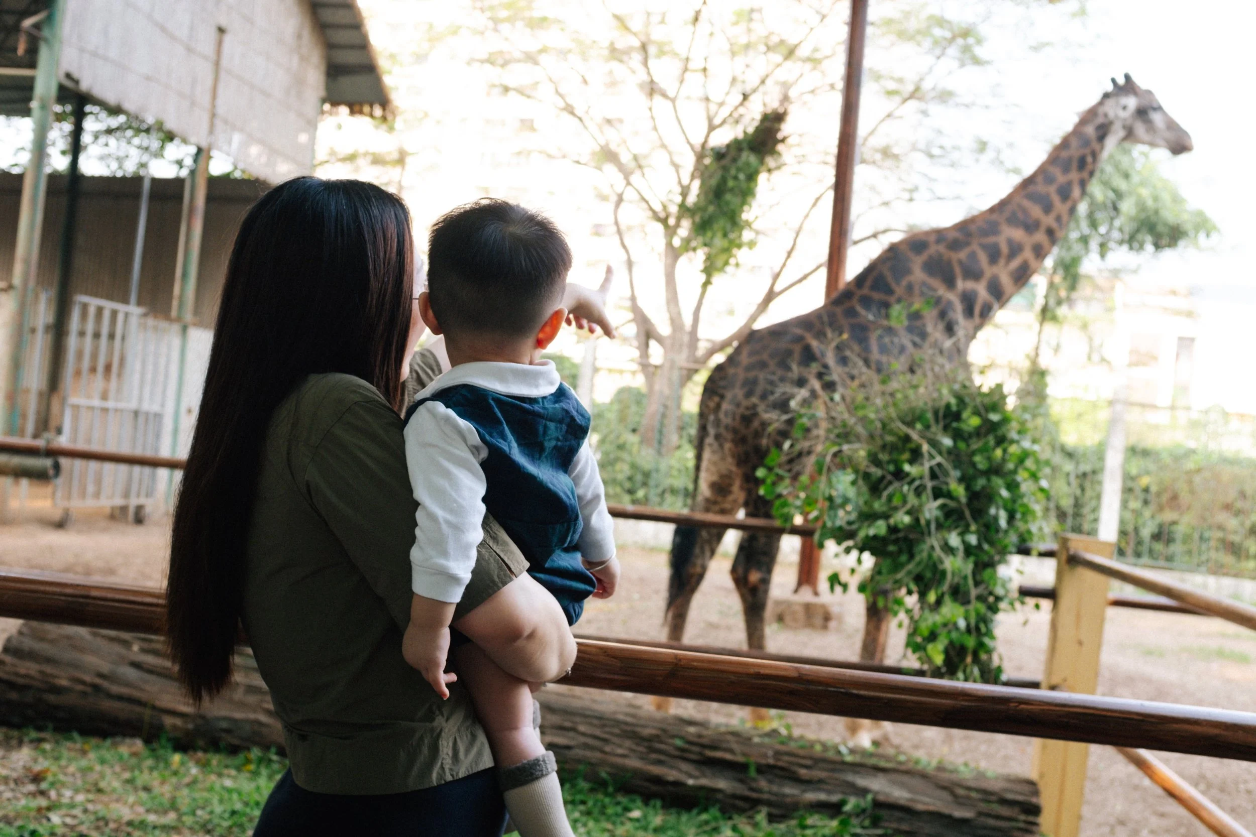 A woman holding a young boy in front of a giraffe at a zoo or animal sanctuary.