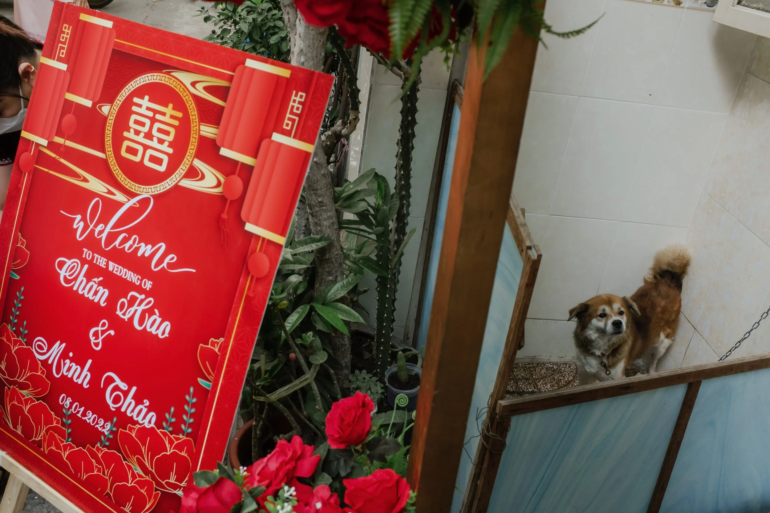 Thảo & Hào, Wedding Day in Sài Gòn — Pham Si Luan Photography (44)