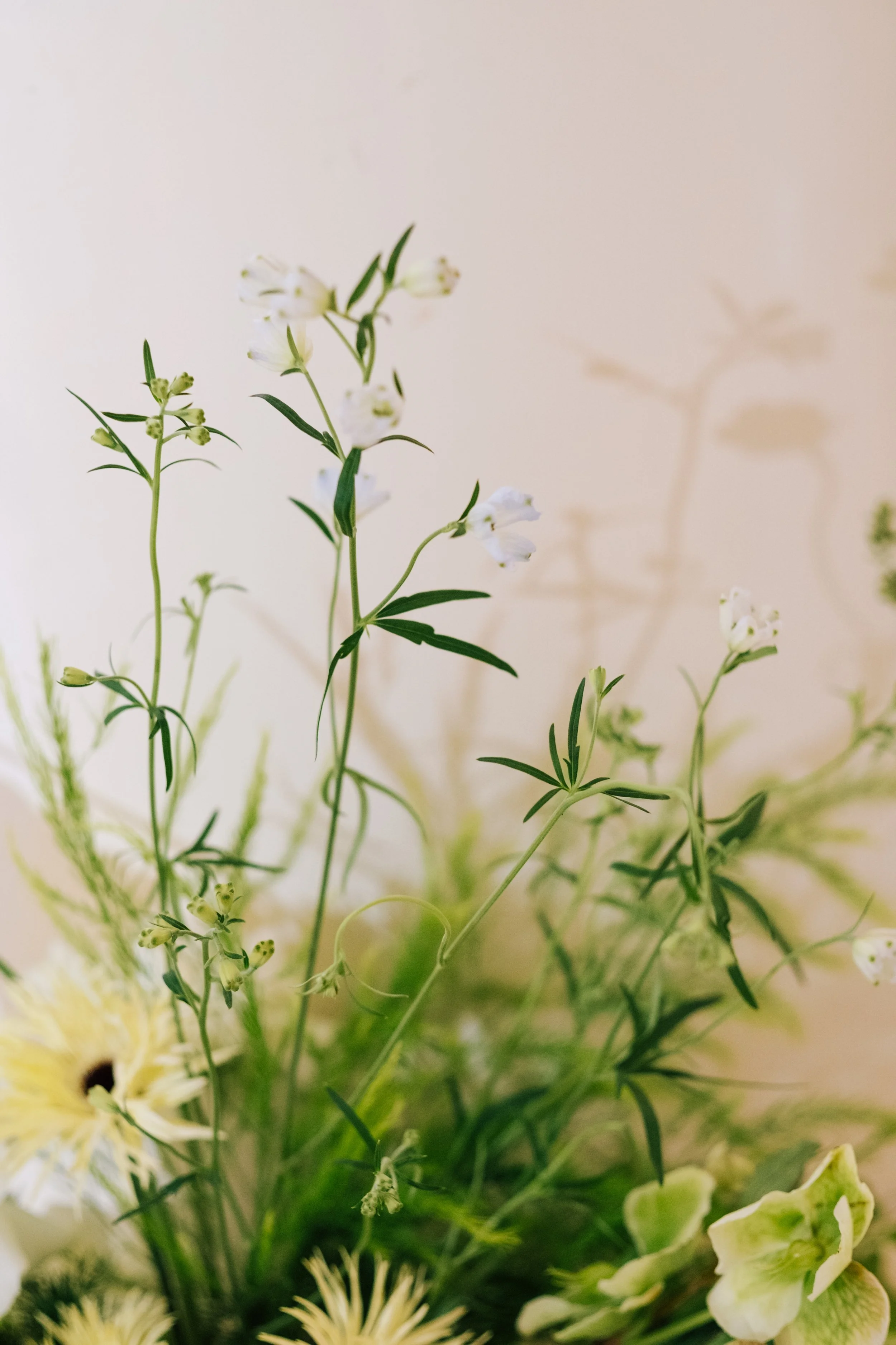 Close-up of a flower arrangement with white and yellow flowers and green foliage against a beige background.