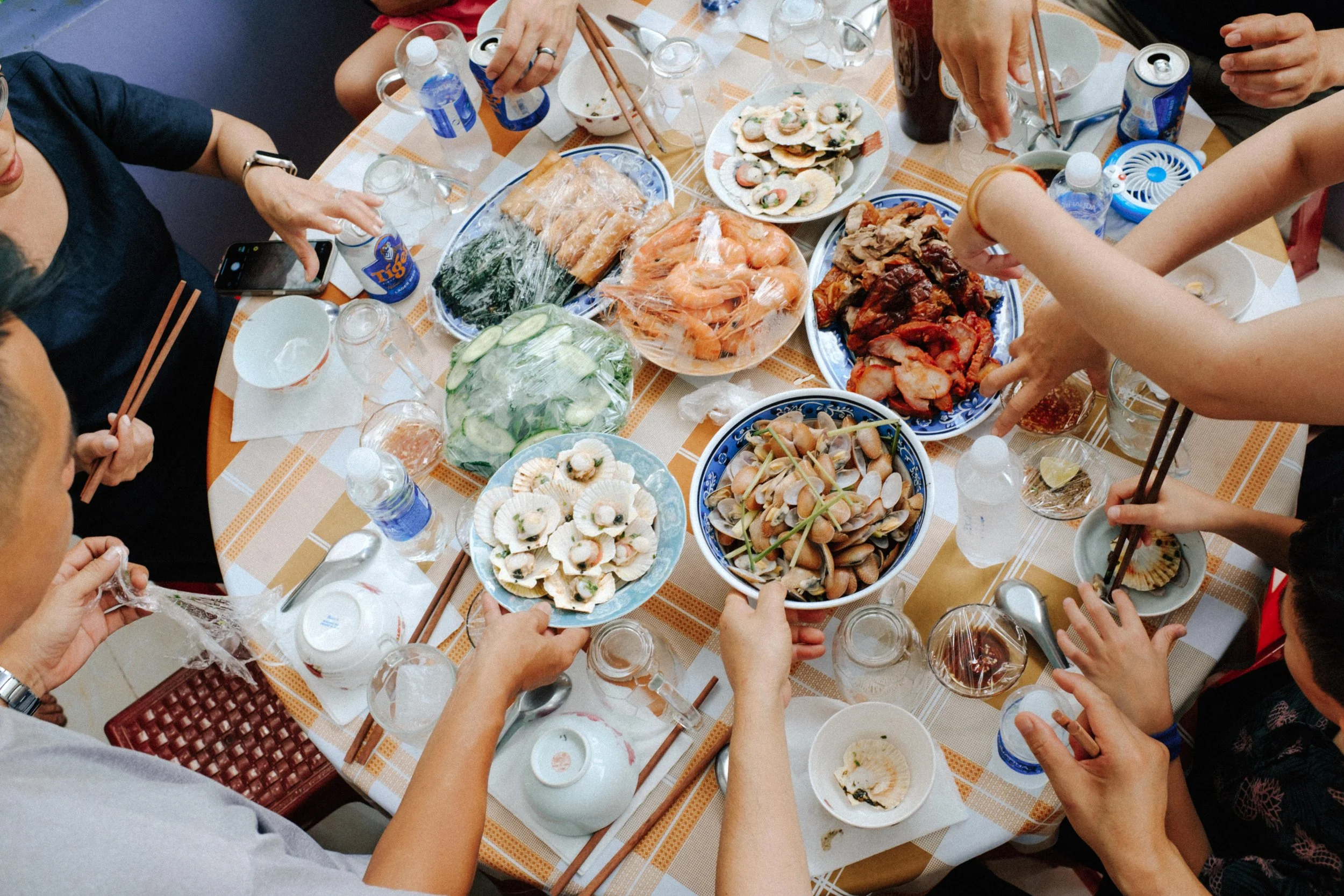 Trần Family Reunion Trip 2024 — Pham Si Luan Photography (103)