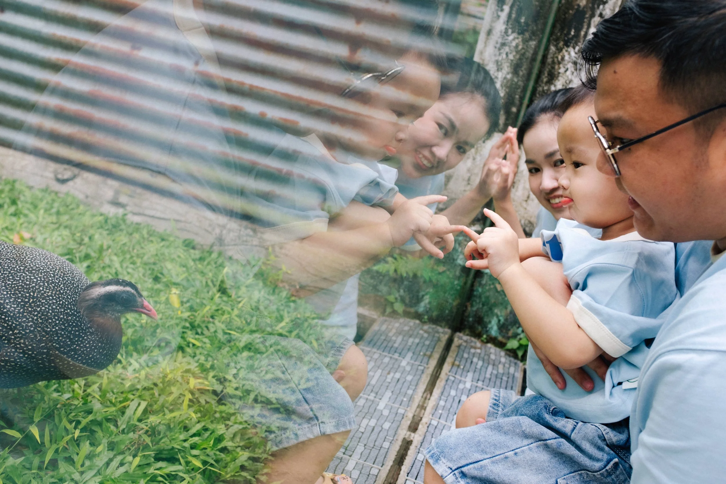 A group of people, including children and adults, are looking at and pointing at a black bird with white speckles through a glass enclosure at a zoo or nature exhibit.