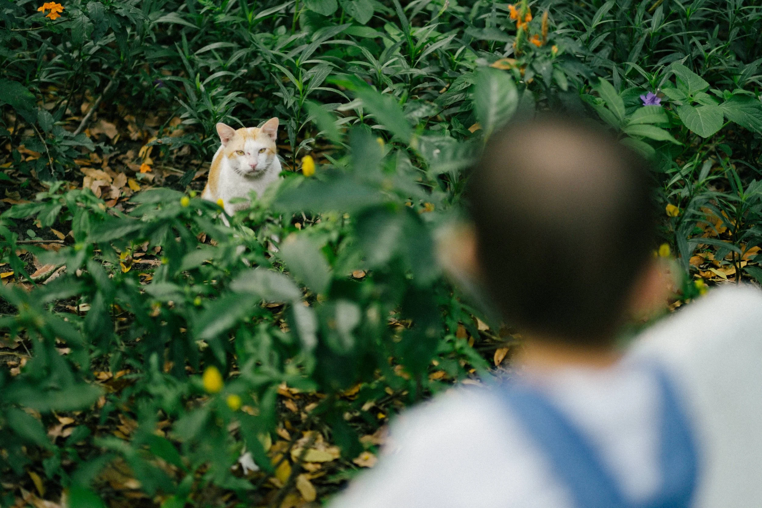 Nhà Vani — Pham Si Luan Photography (4)