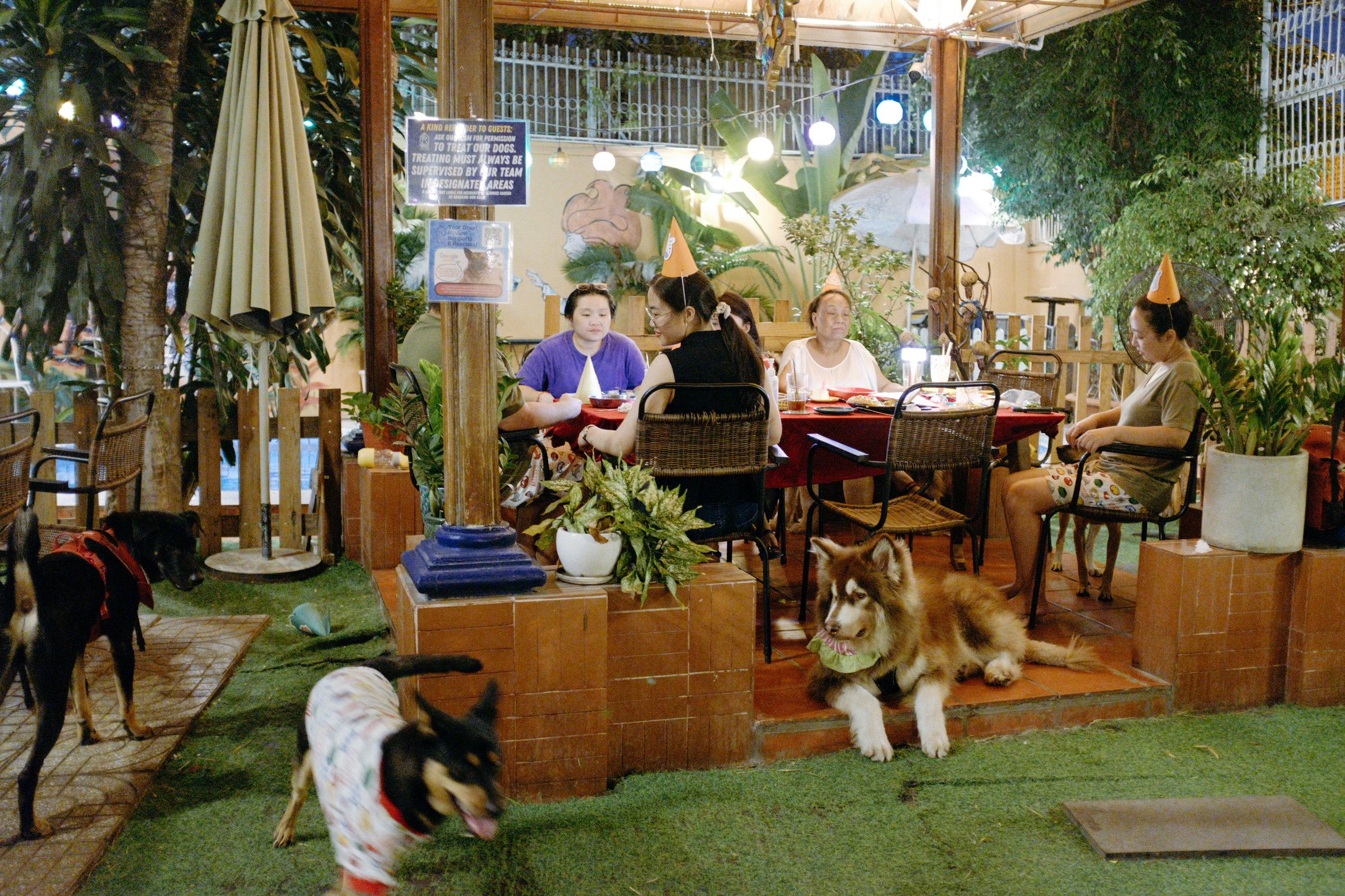 Sinh Nhật Bến Dừa — Pham Si Luan Photography (41)
