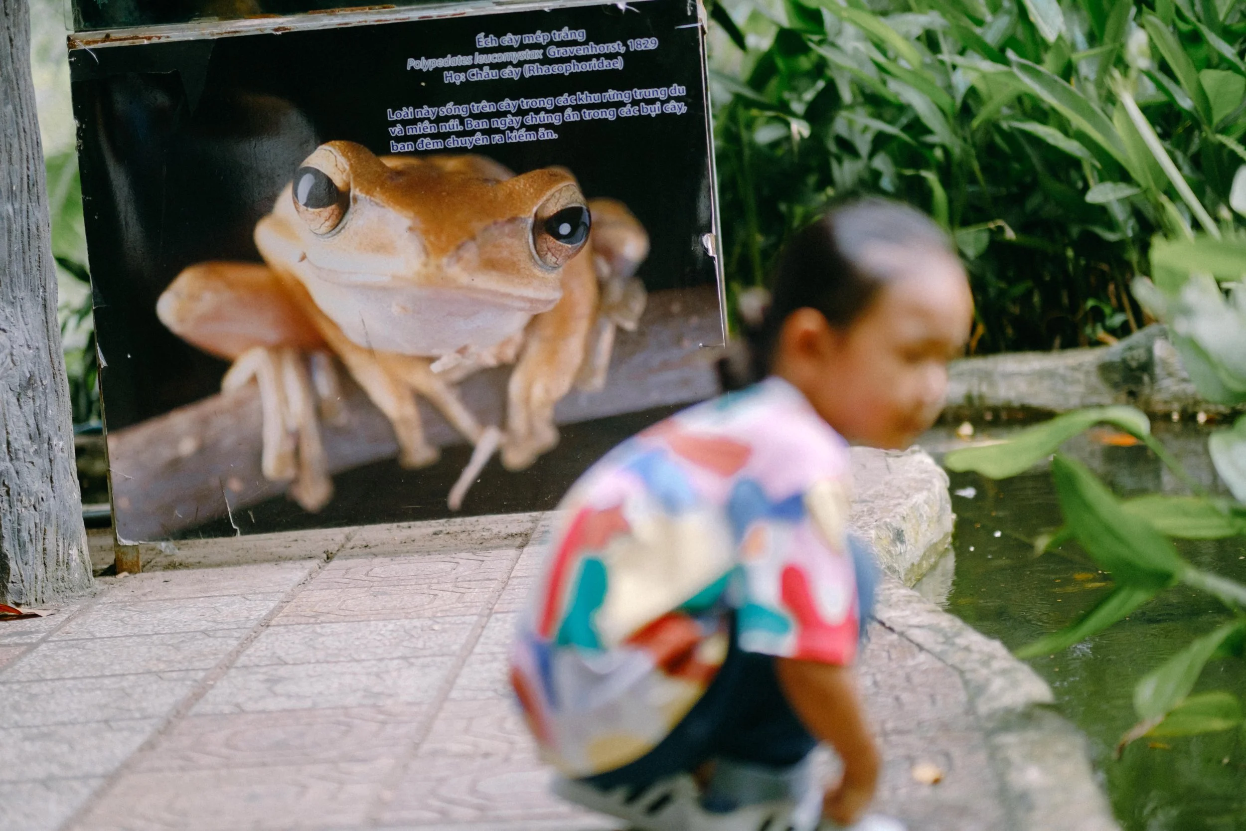 The Songcuan Family — Pham Si Luan Photography (15)
