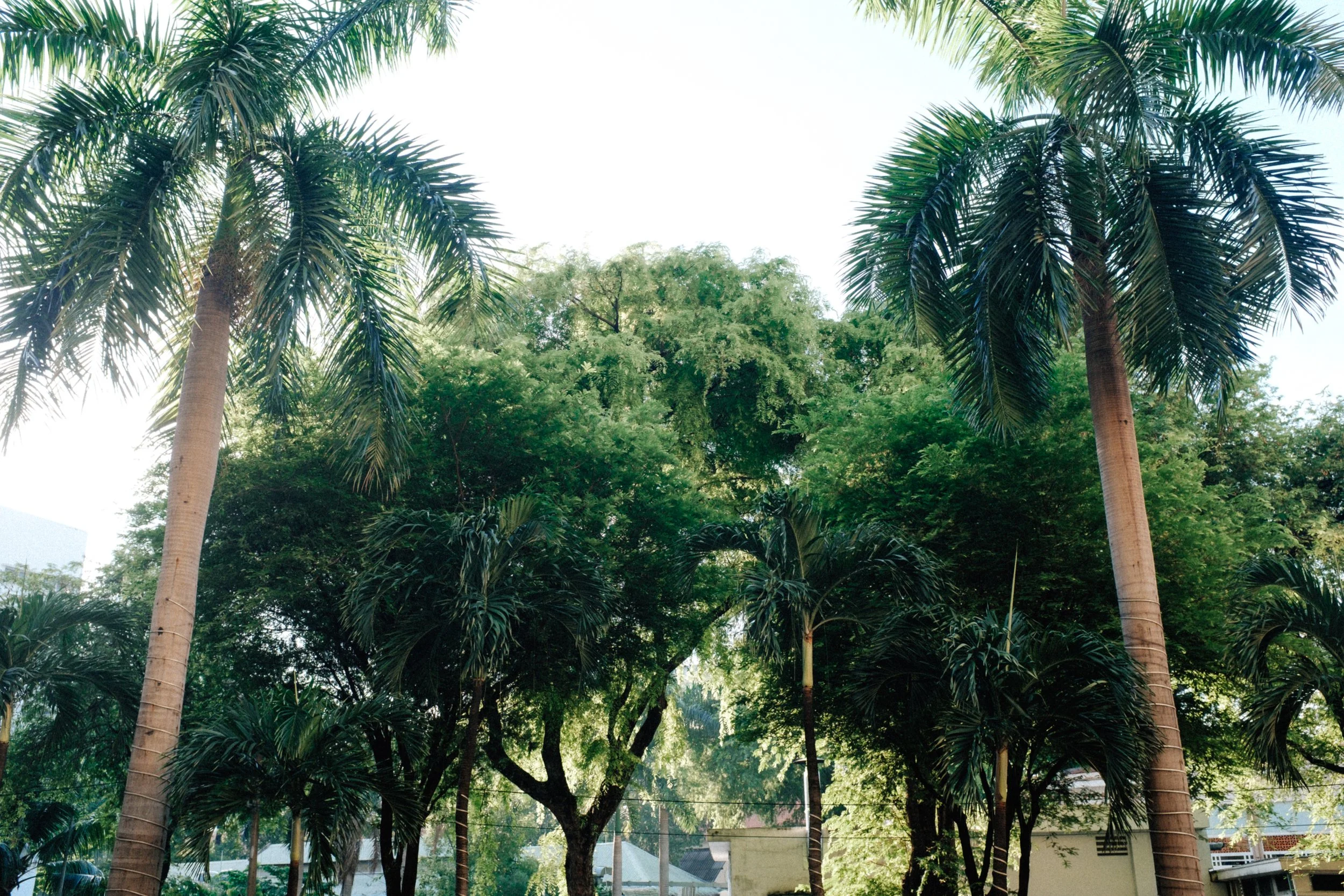 Trần Family Reunion Trip 2024 — Pham Si Luan Photography (1)