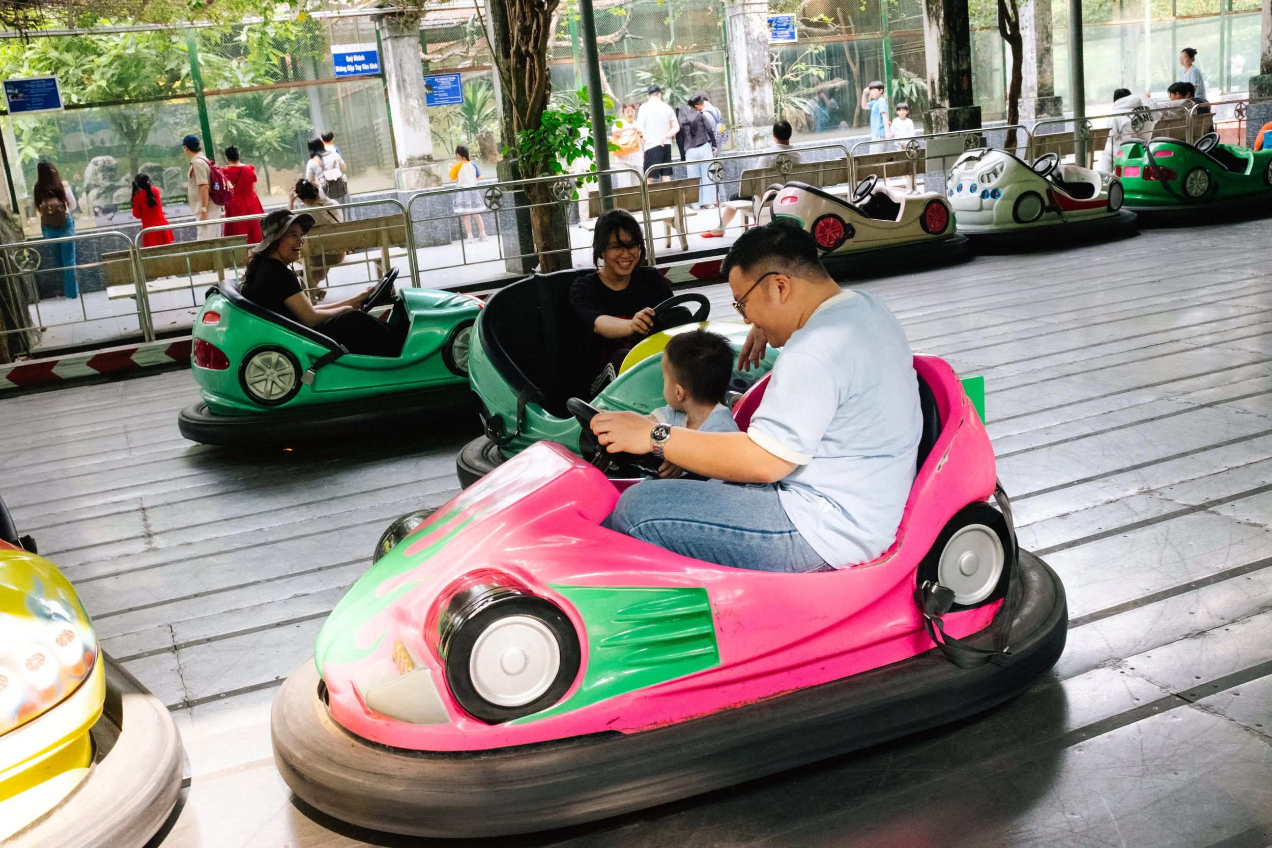 People enjoying bumper car rides at an amusement park, with a man and child in a pink bumper car, a woman and child in a green bumper car, and others in the background.