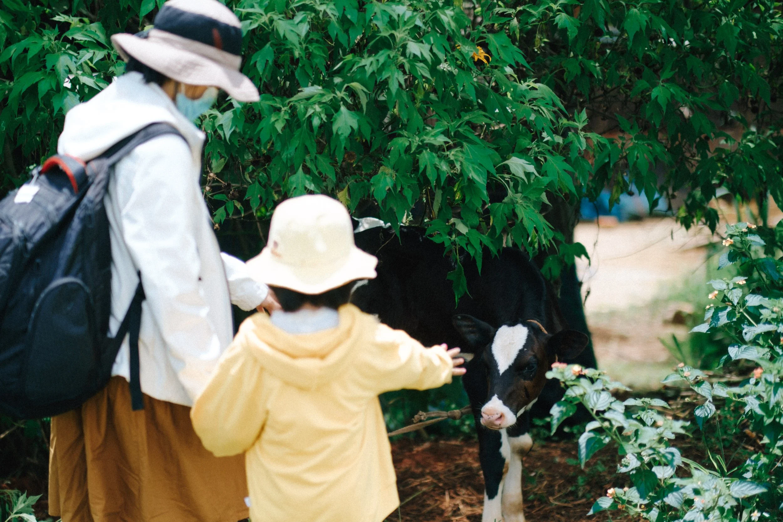 Da Lat Journey – Tu & Xiu — Pham Si Luan Photography (45)