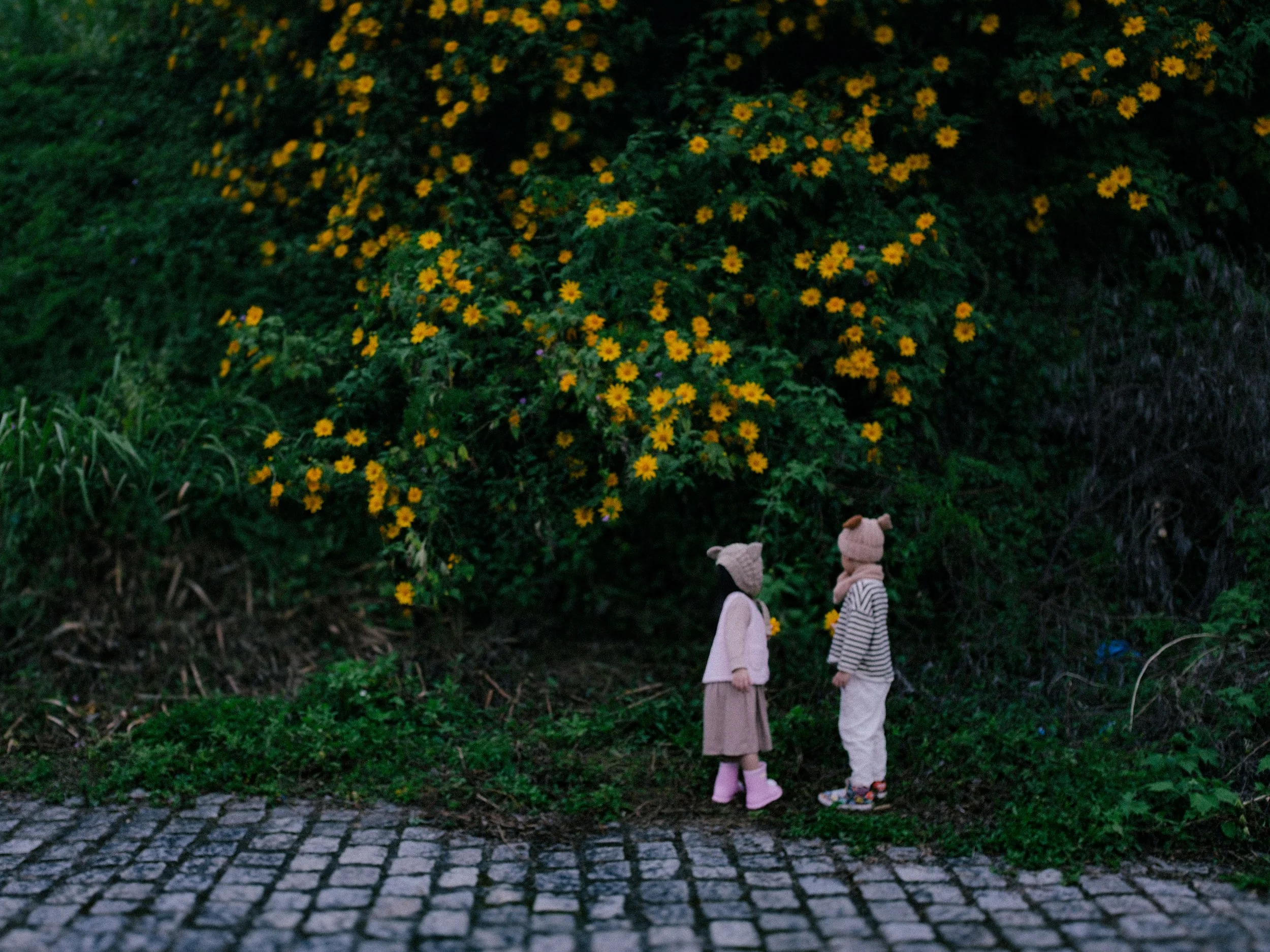Gặp Nhau Mỗi Đông 2024 — Pham Si Luan Photography (10)