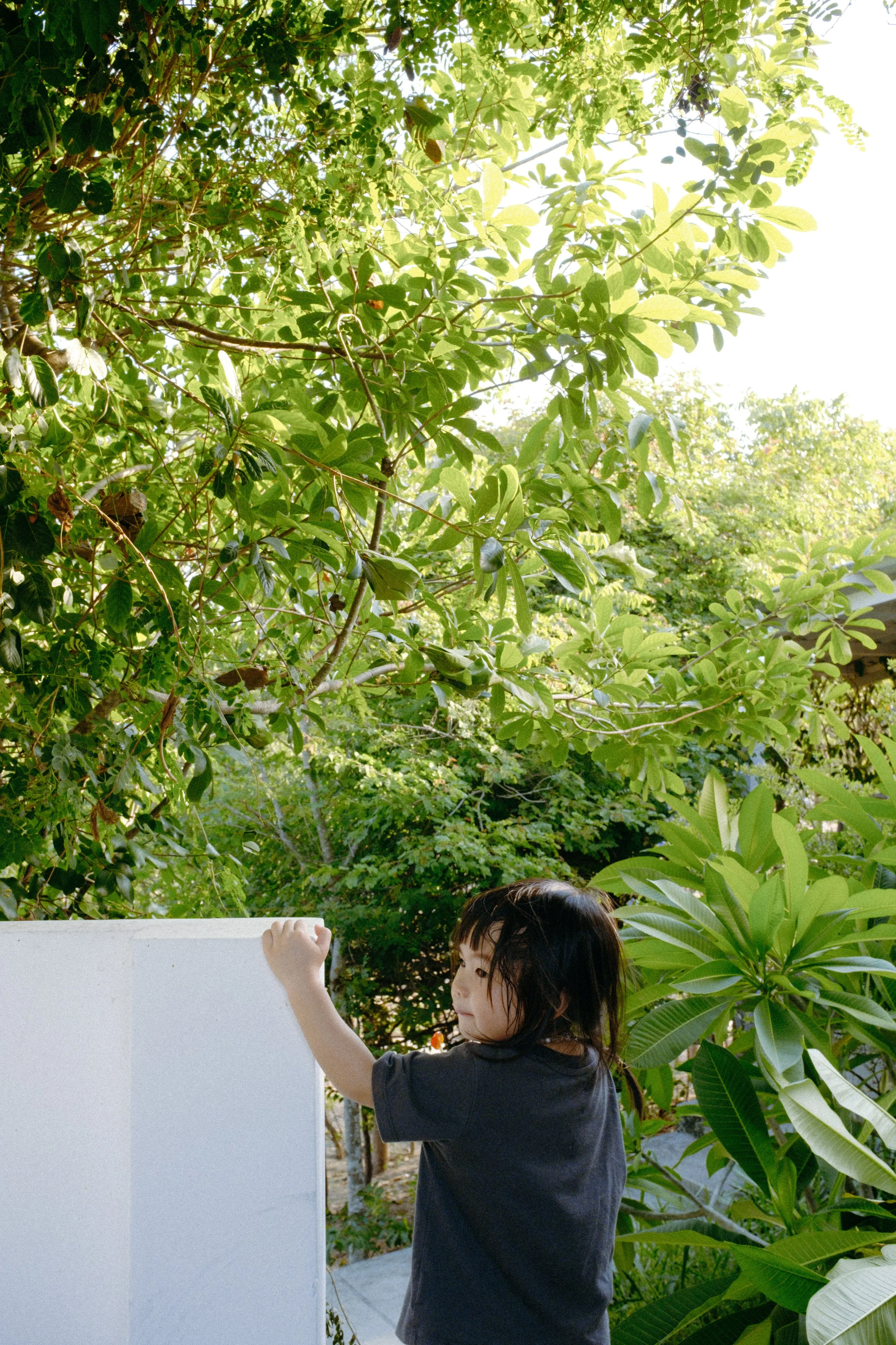Gặp Nhau Mỗi Hè 2024 — Pham Si Luan Photography (20)