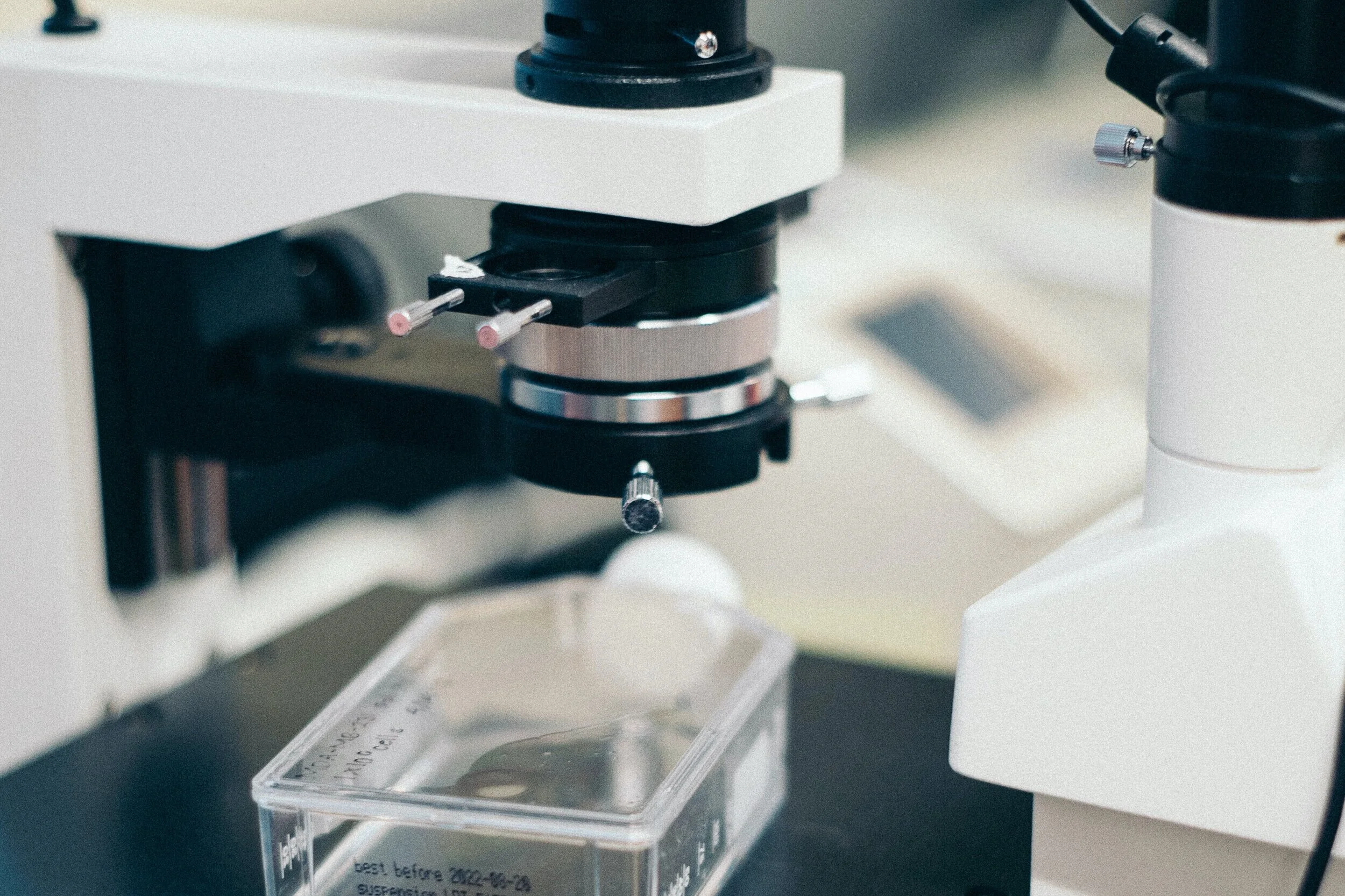 Services 3 — Institute of Bio-Sensing Technology