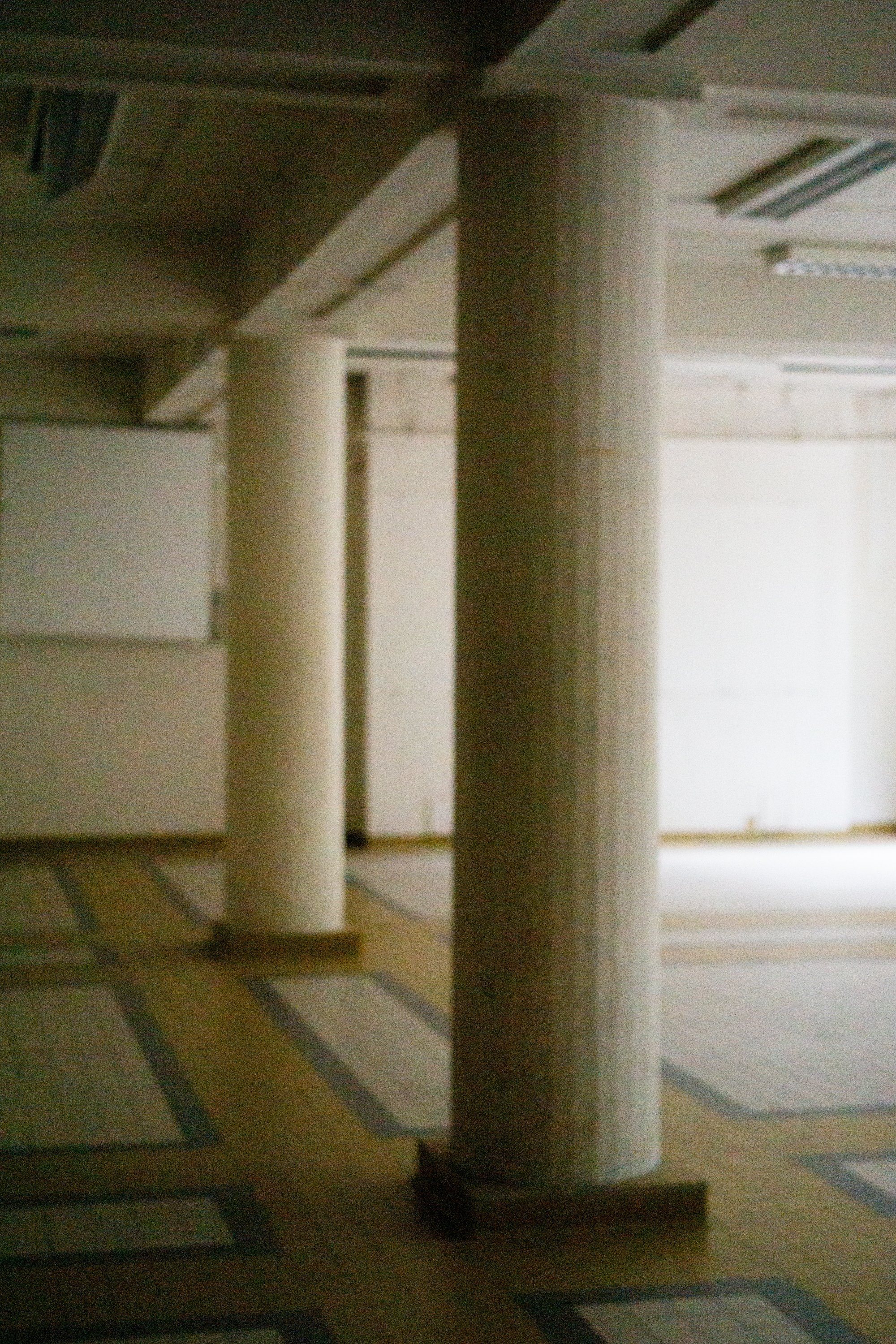 comenius (print res)-19.jpg