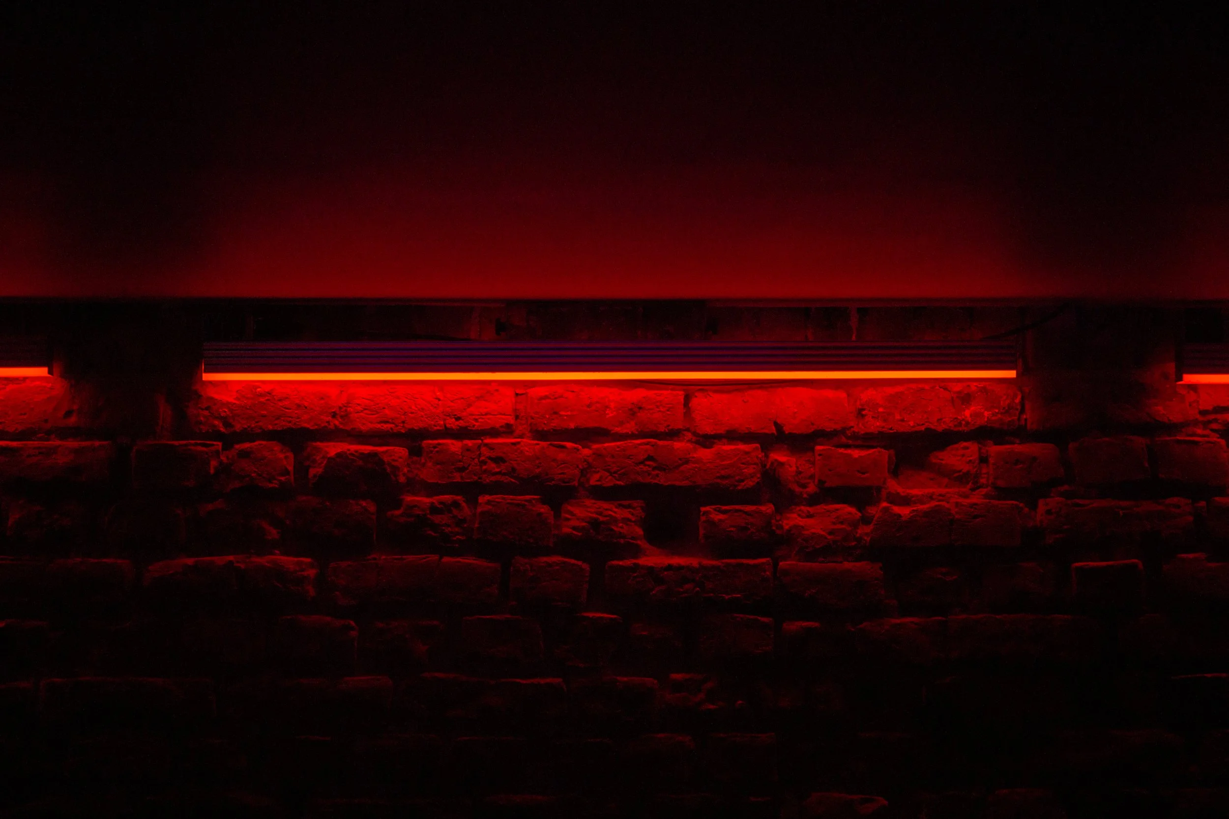 albatros (print res)-17.jpg