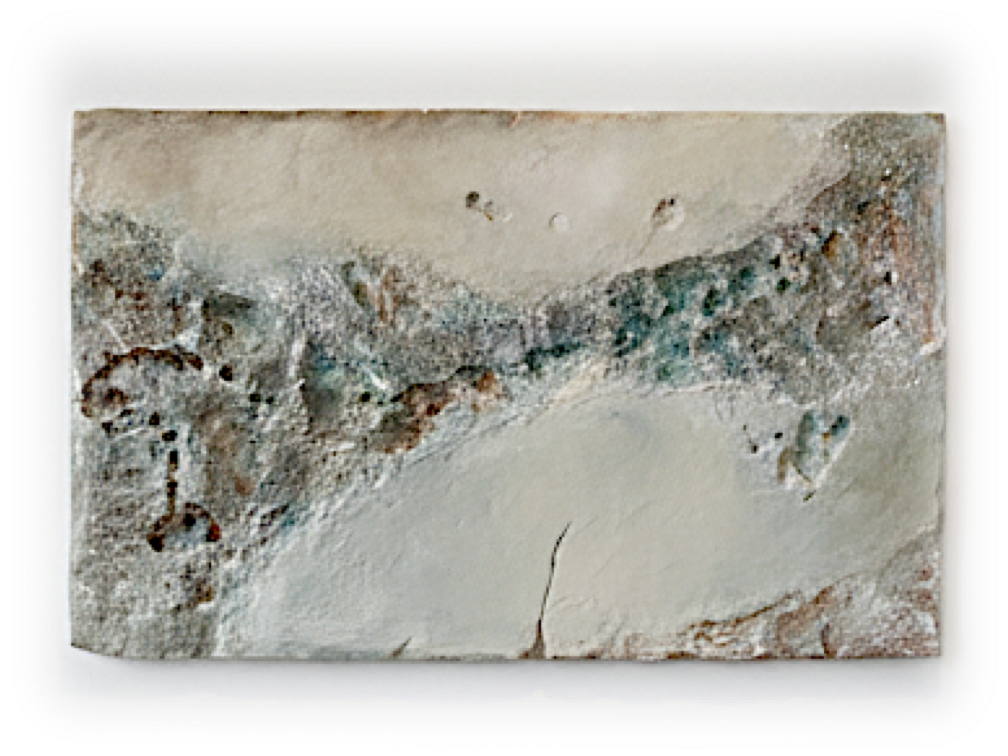 Escultura de pared bella.  Fósil de un esqueleto de un pequeño dinosaurio o reptil en una piedra fosilizada.