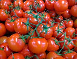 tomatru.jpg