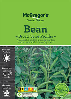 Bean Broad Coles Prolific Seeds