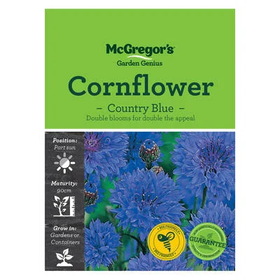 cornflower blue.jpg