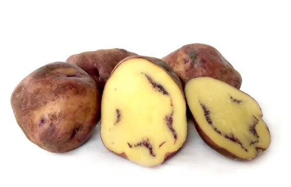 Maori Seed Potatoes - Moemoe